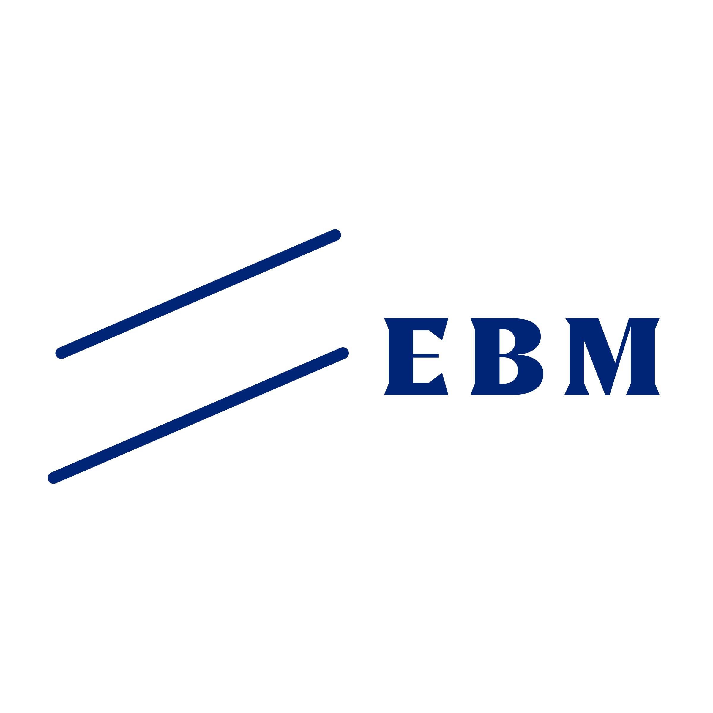 Company logo «EBM»