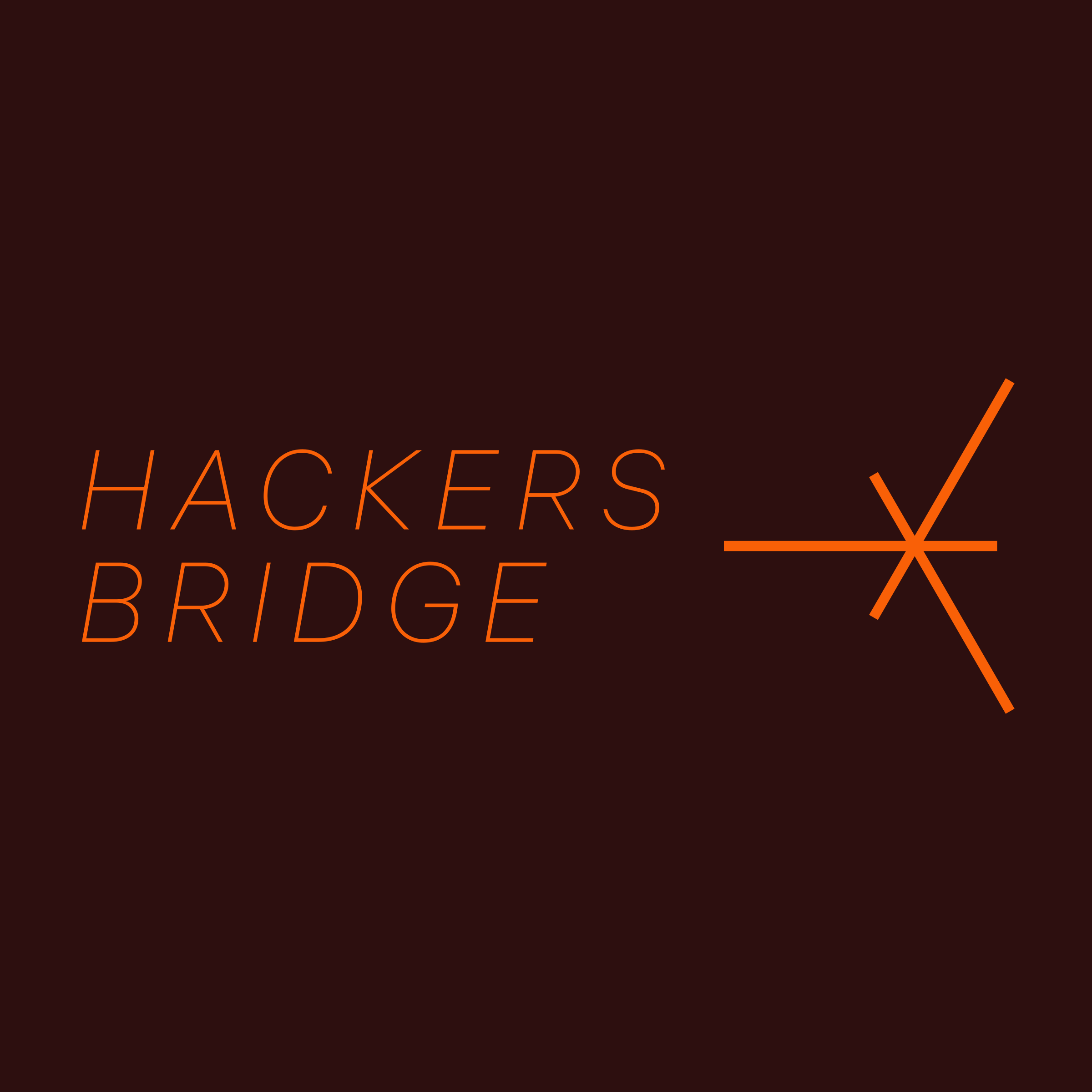 Company logo «Hackers Bridge»