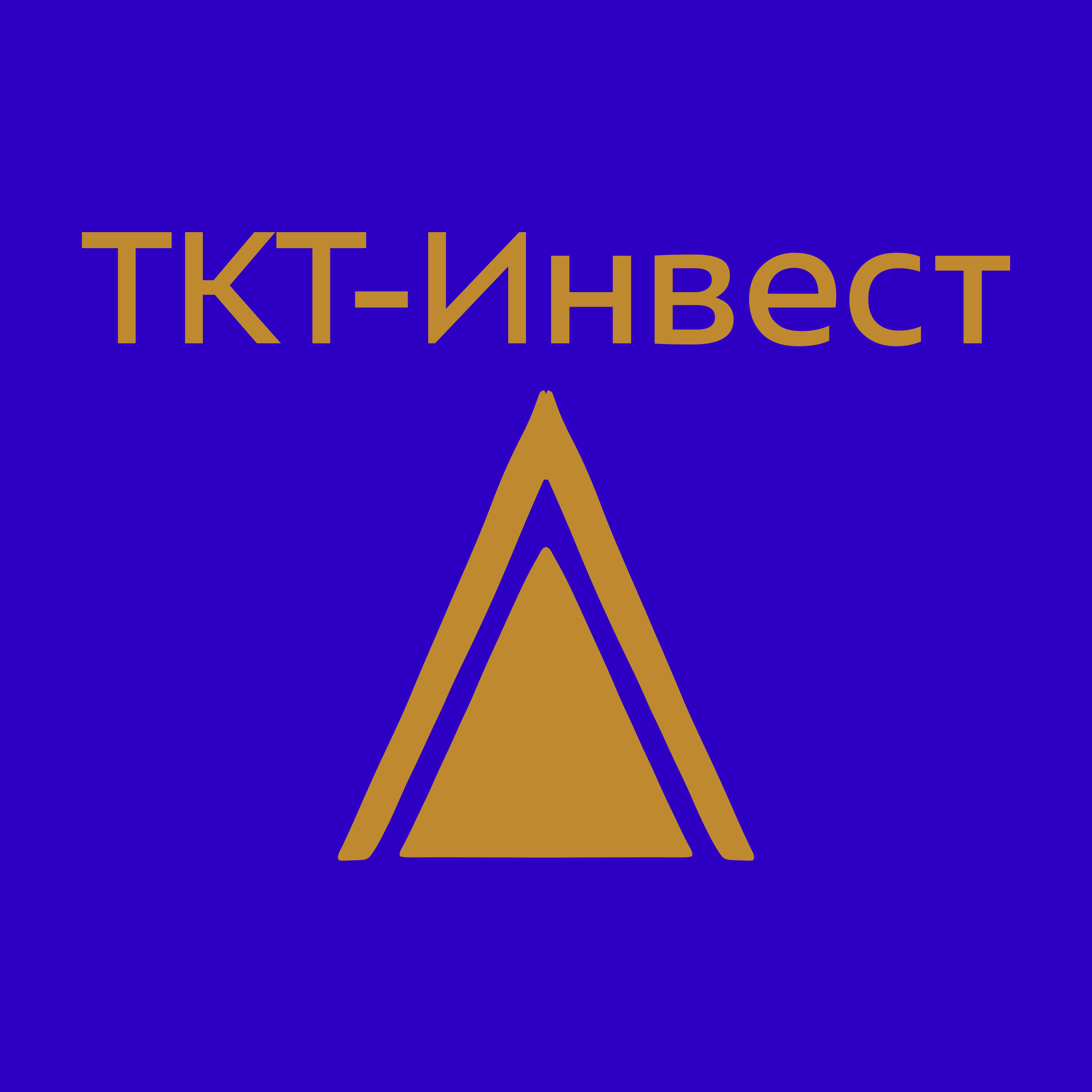 Company logo “TKT-Invest”