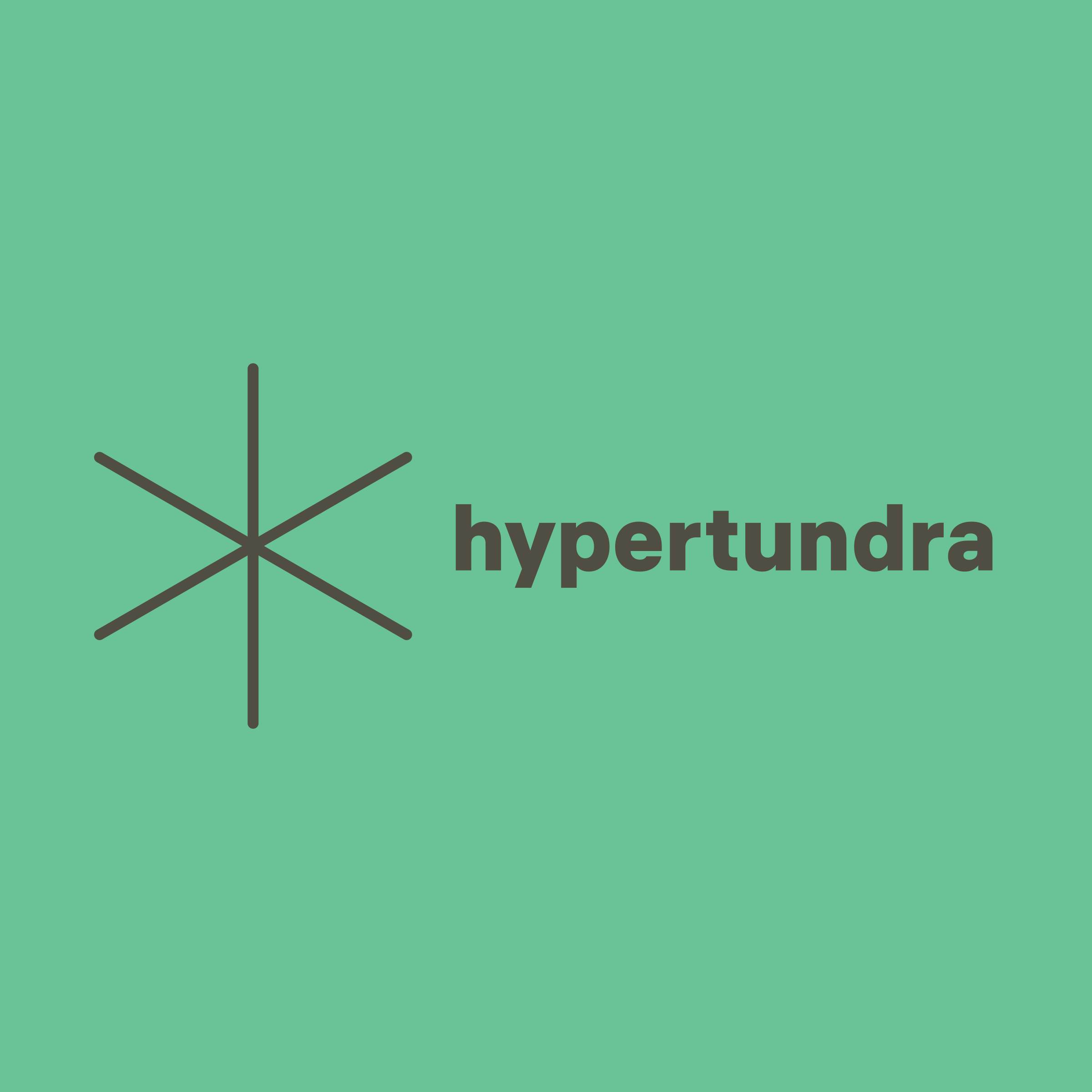 Company logo «hypertundra»