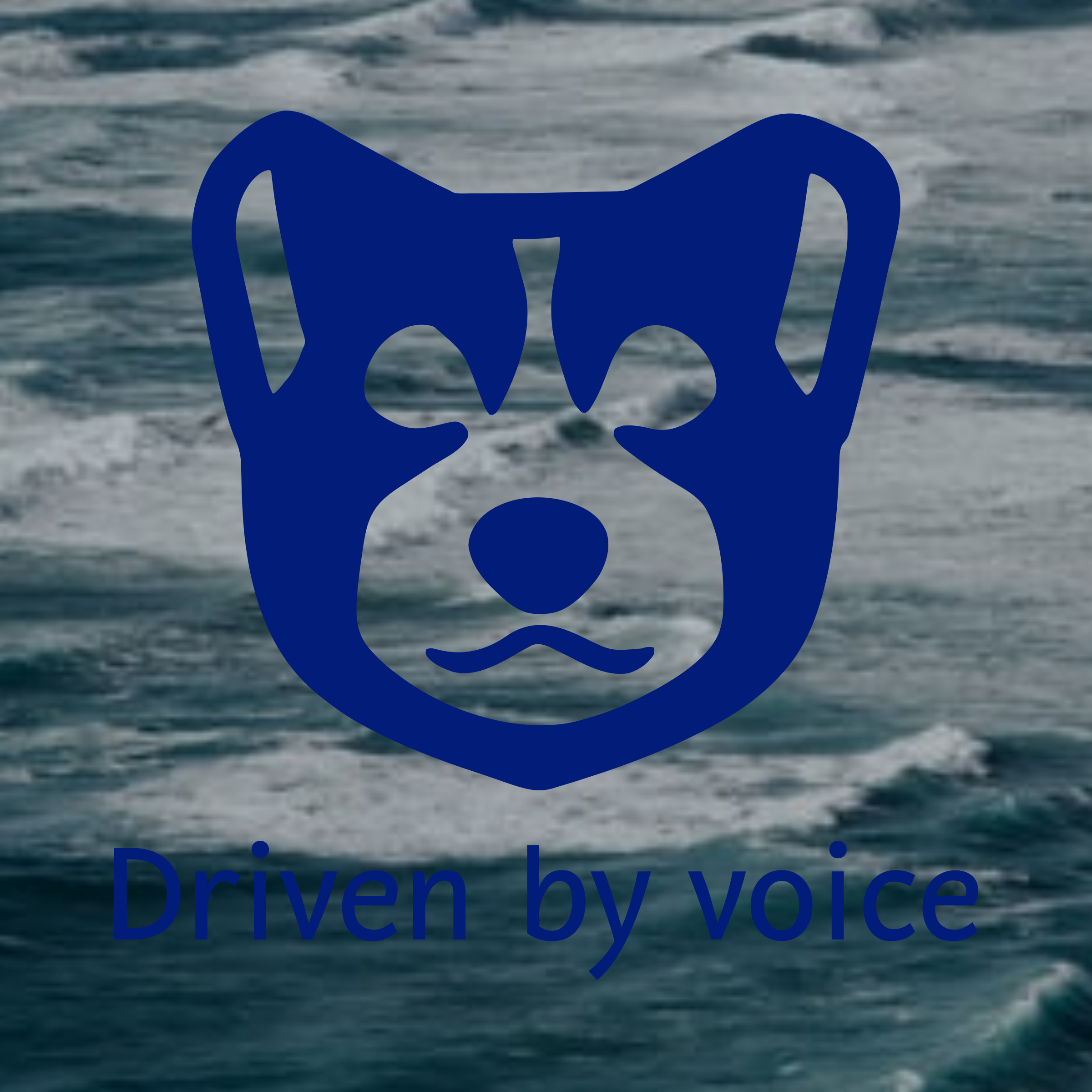 Company logo «Driven by voice»