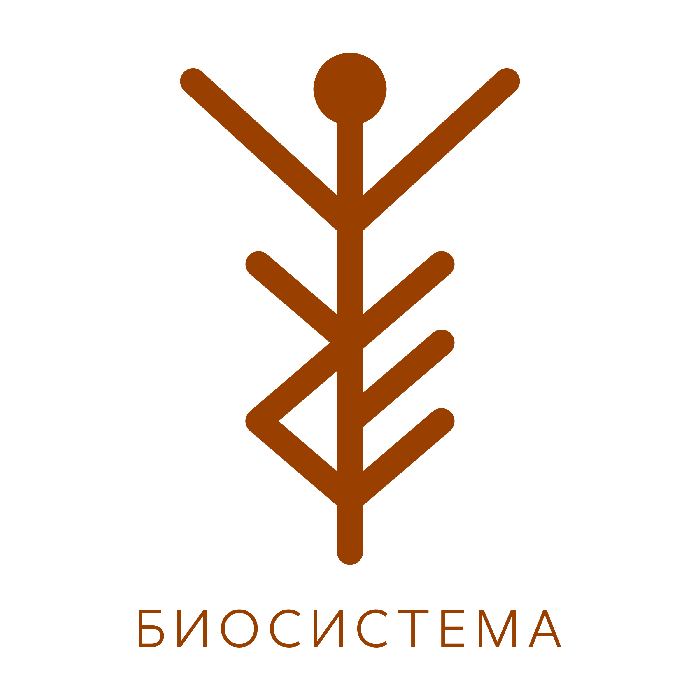 Company logo “Biosystem”