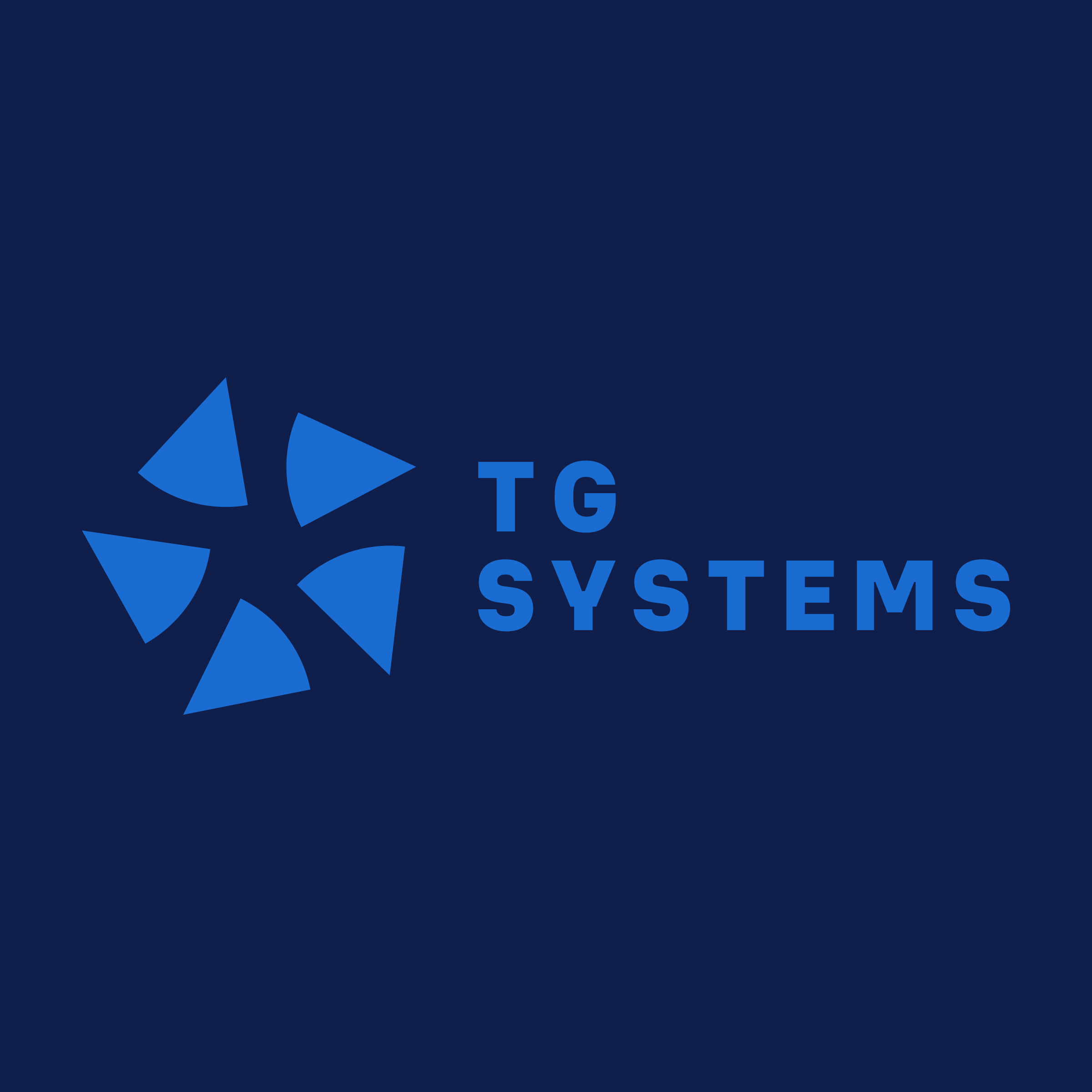 Company logo «TG Systems»