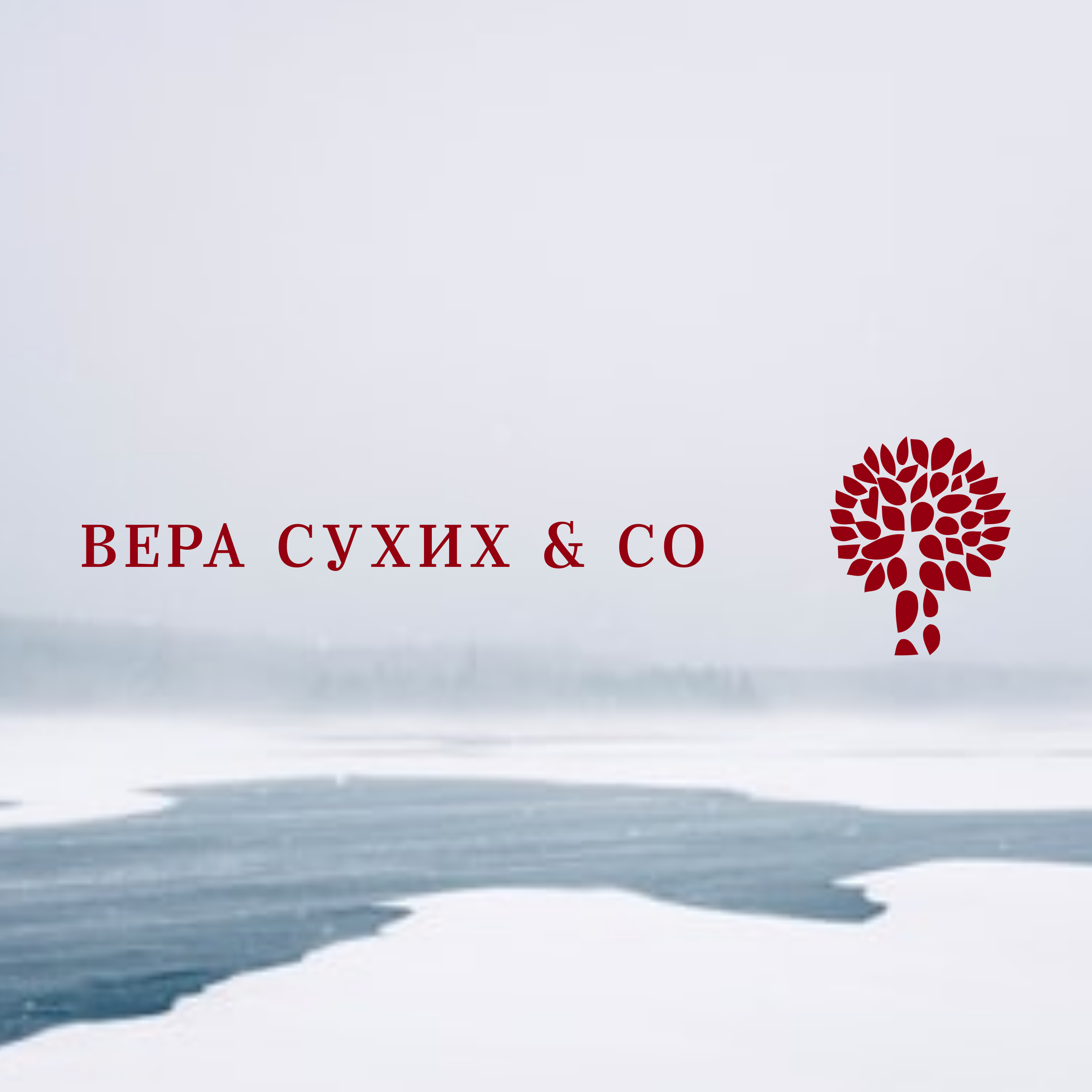 Логотип компании «Вера Сухих & Co»