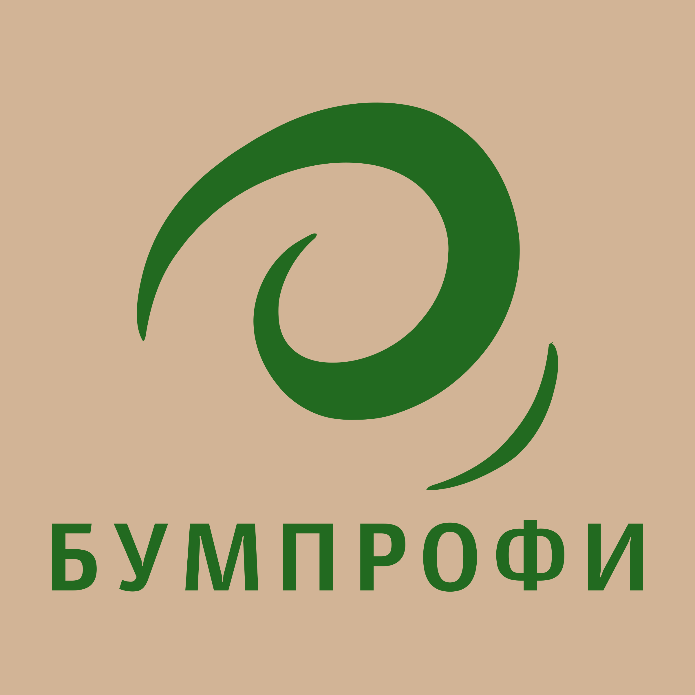 Company logo “BUMPROFI”