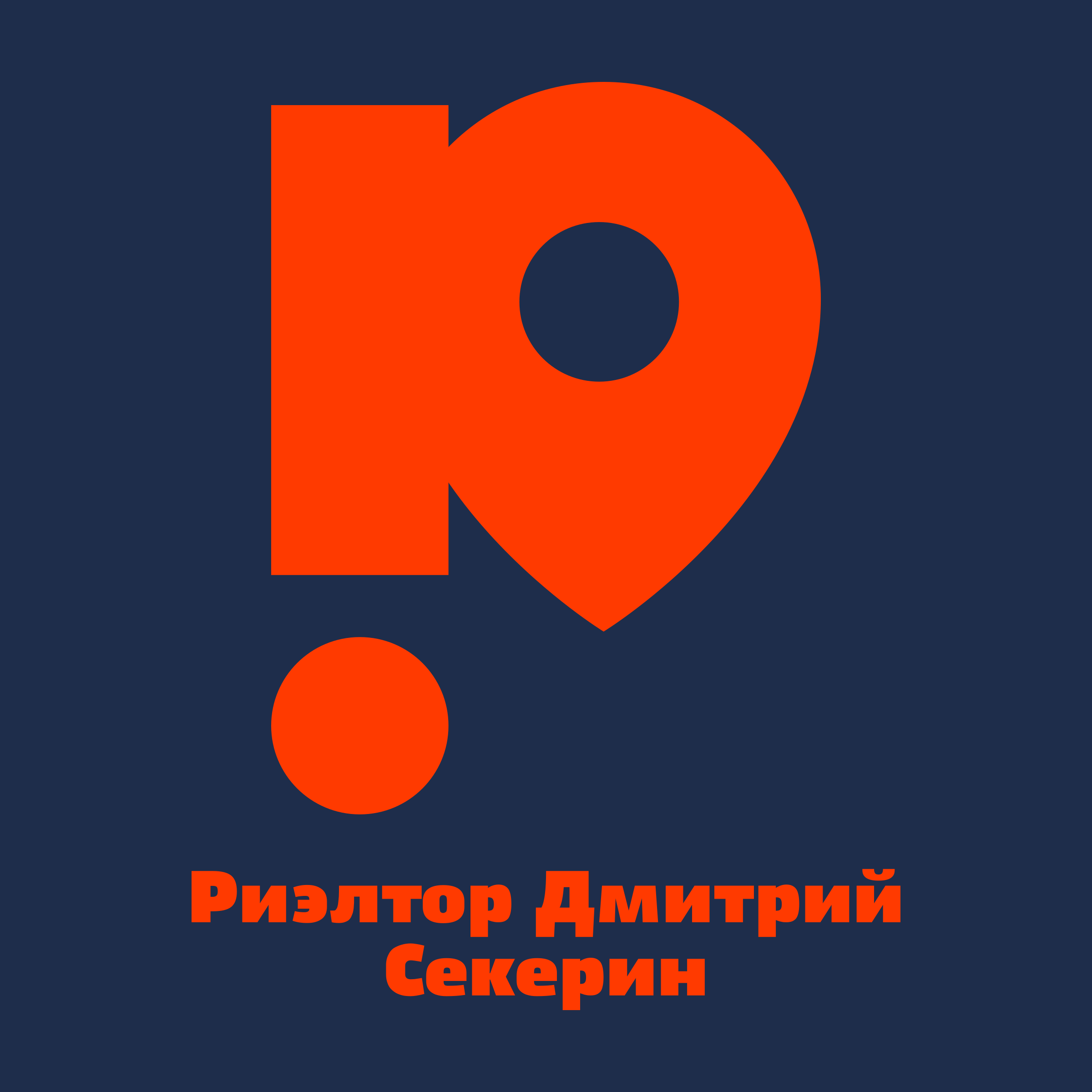 Company logo “Realtor Dmitry Sekerin”