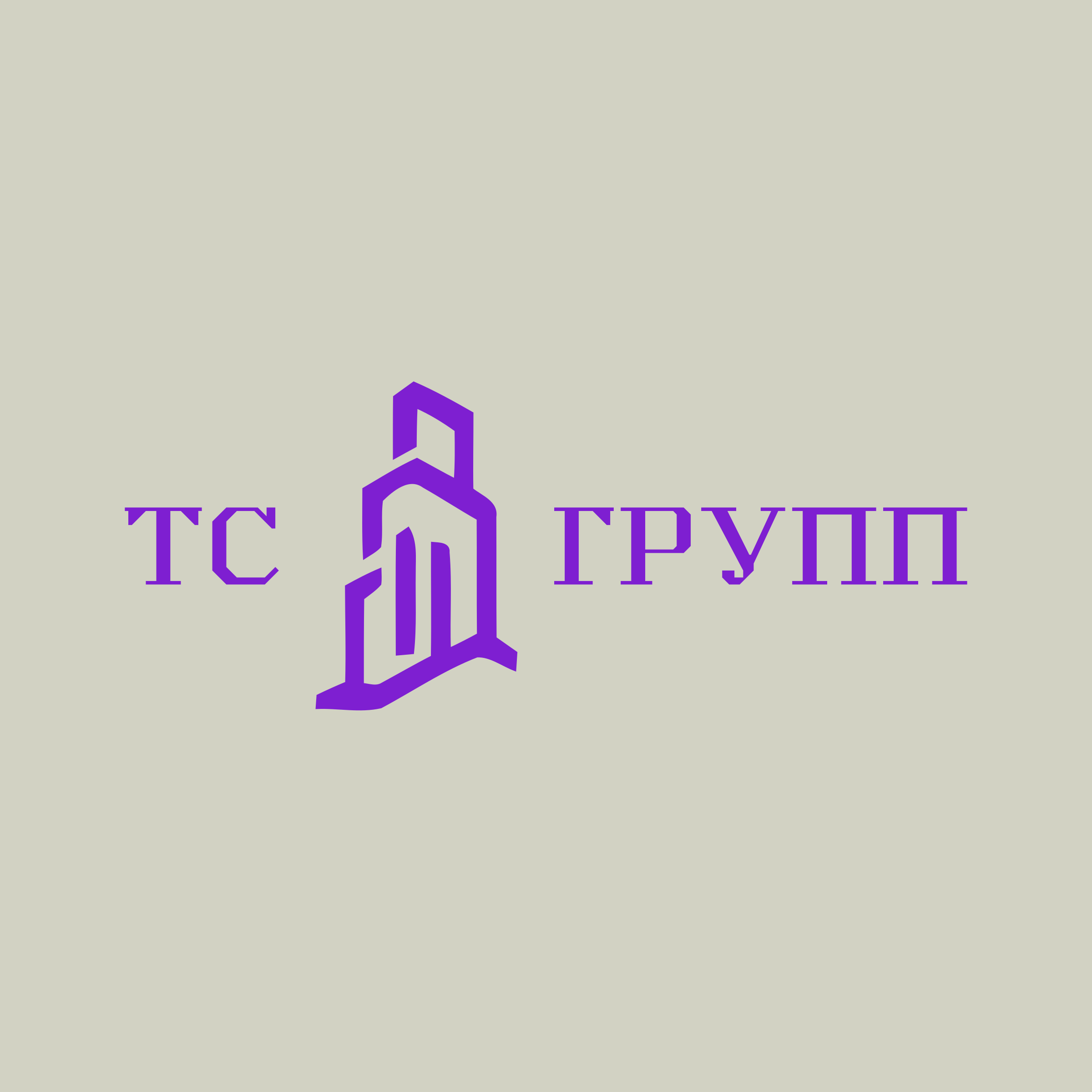 Company logo “TS GROUP”