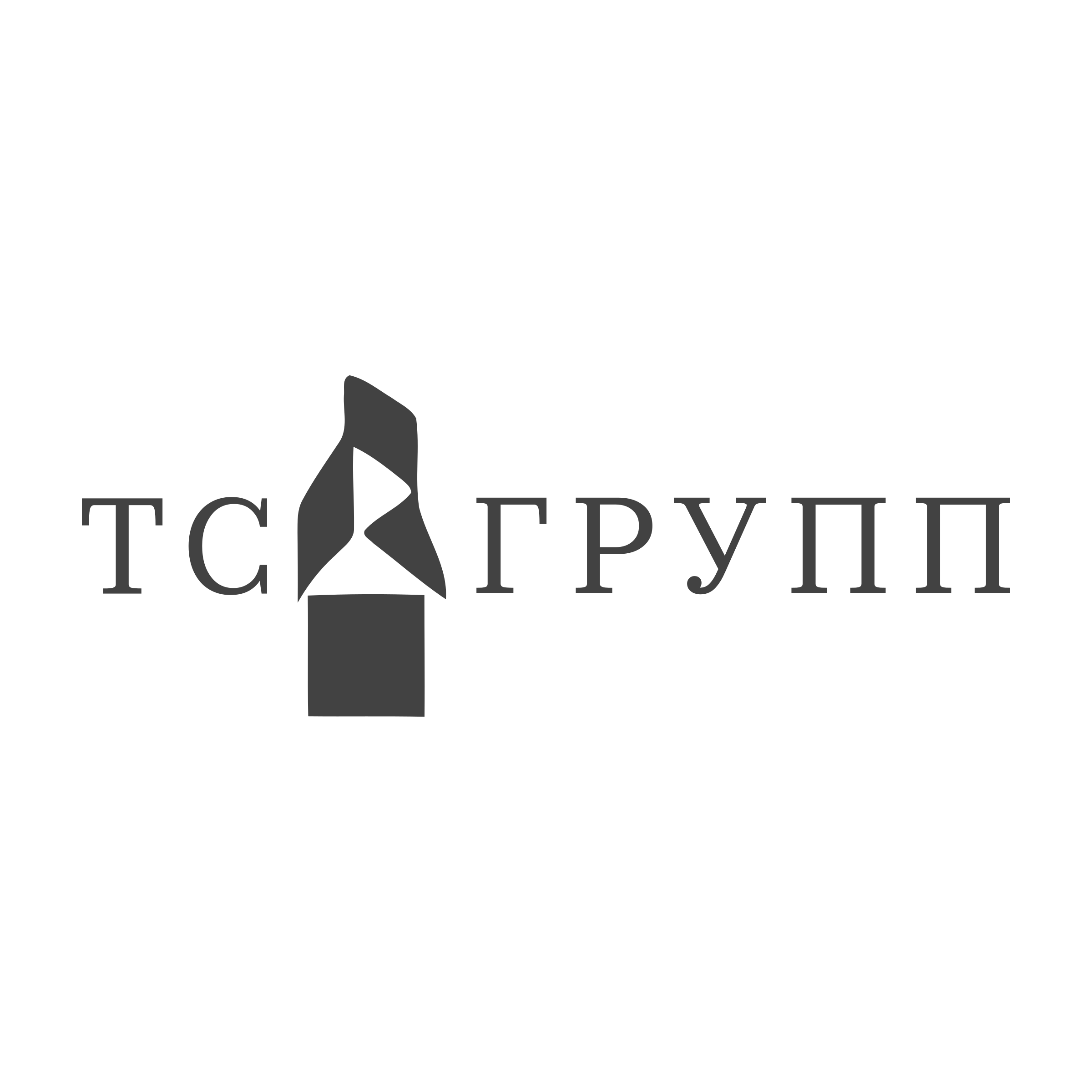 Company logo “TS GROUP”