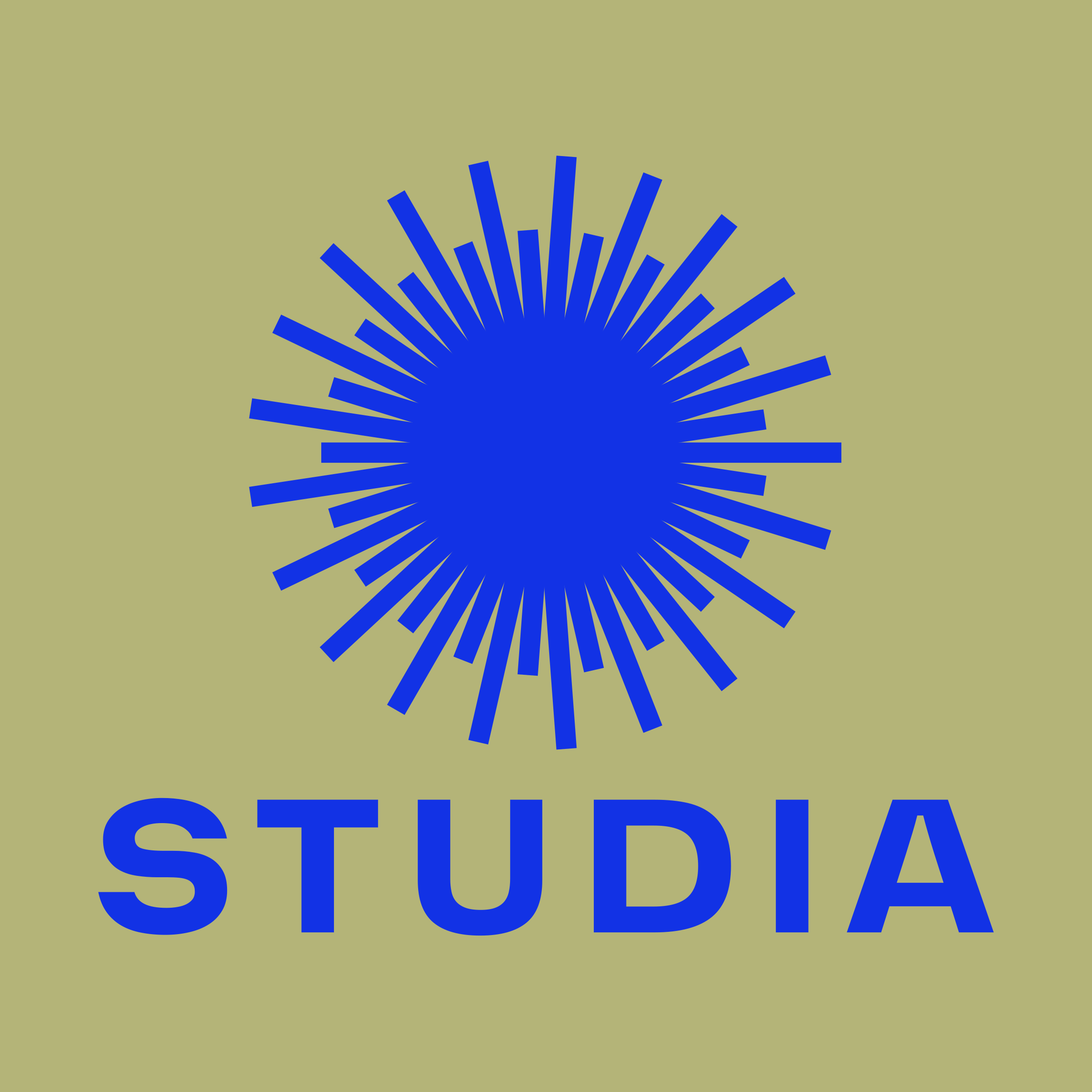 Логотип компании «Studia»