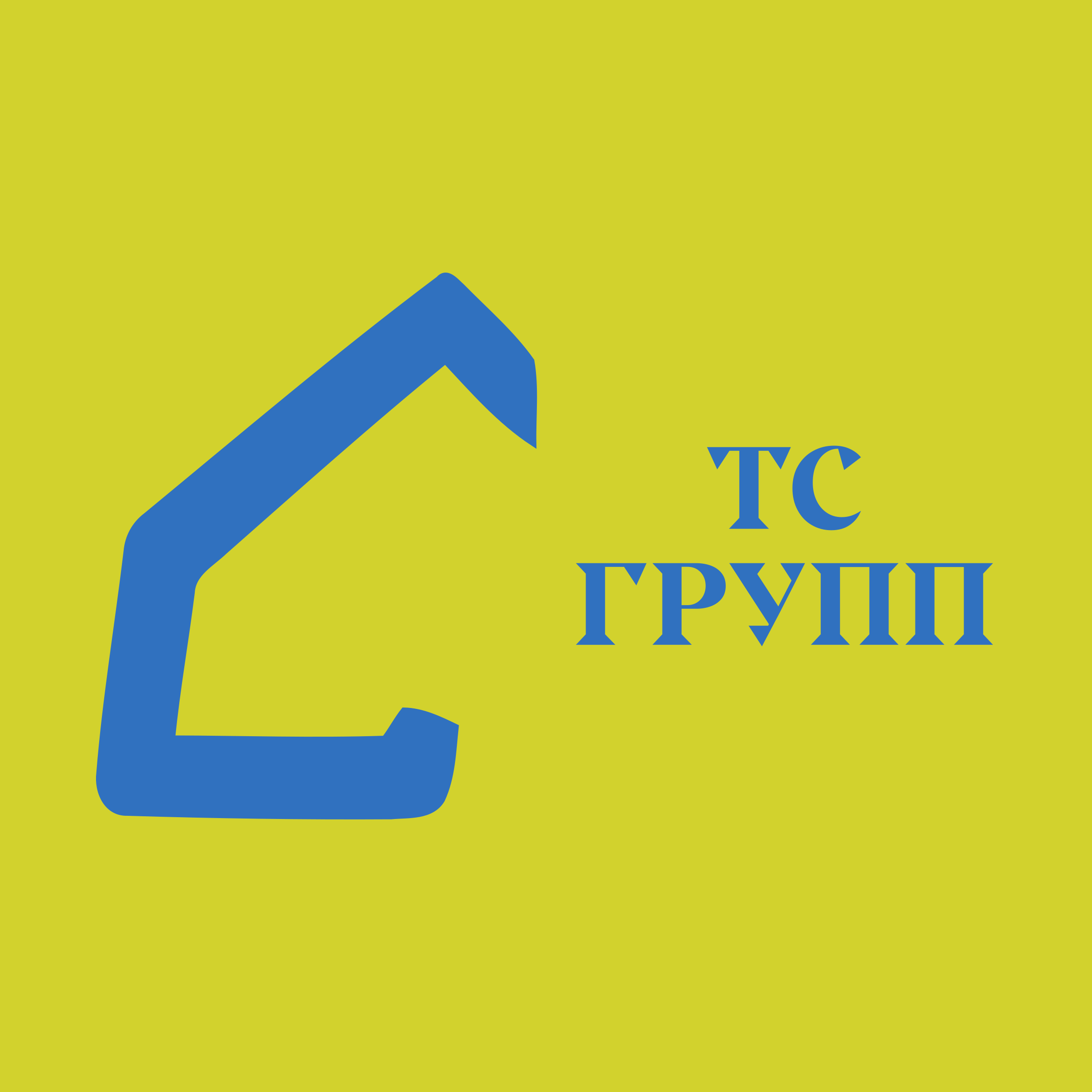 Company logo “TS GROUP”