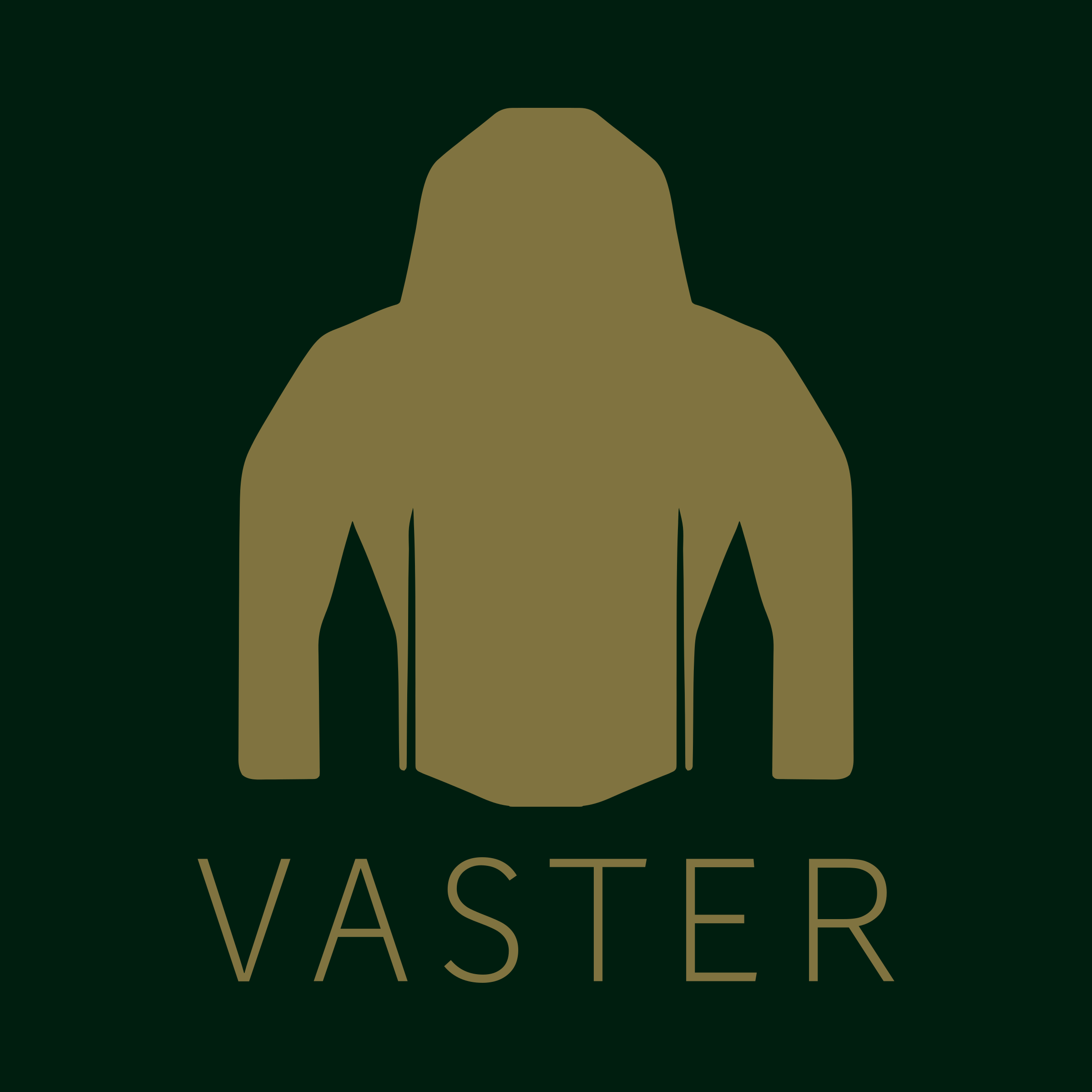 Логотип компании «Vaster»