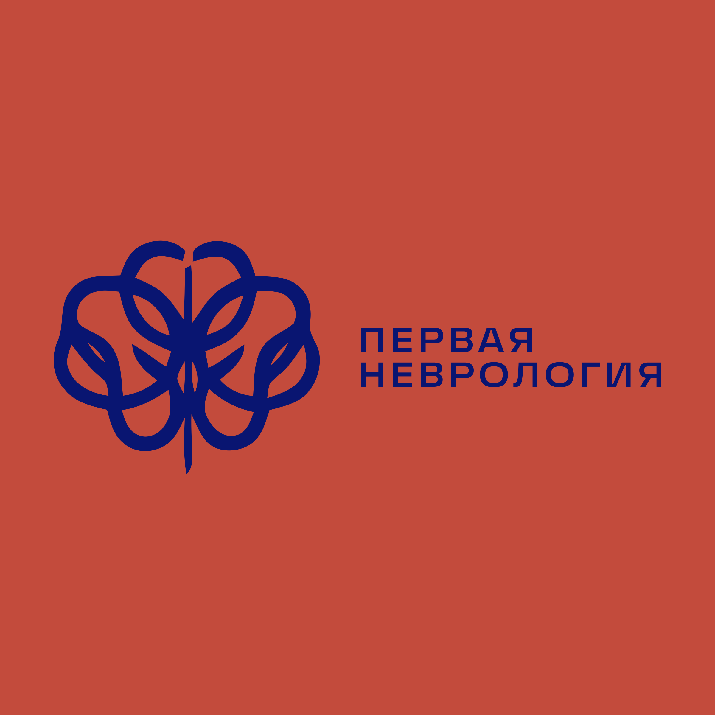 Company logo “First Neurology”