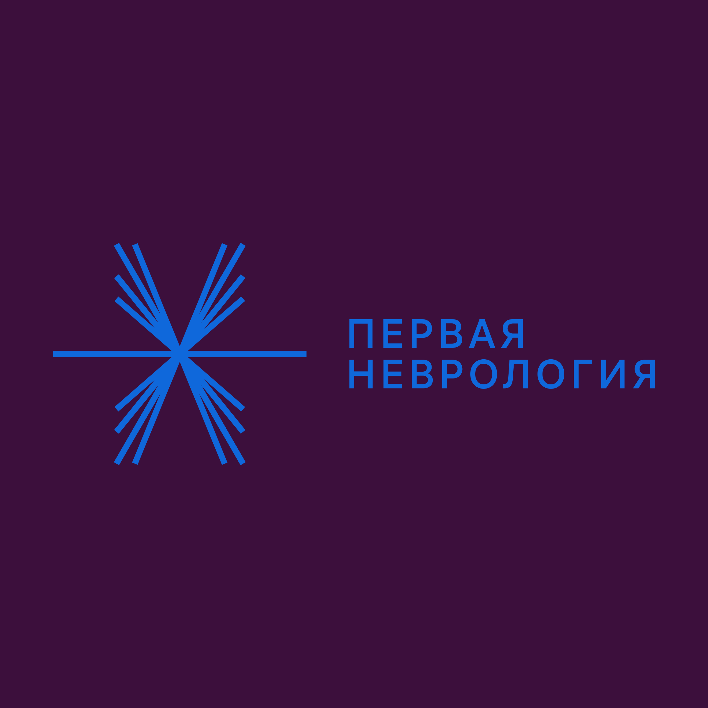 Company logo “First Neurology”