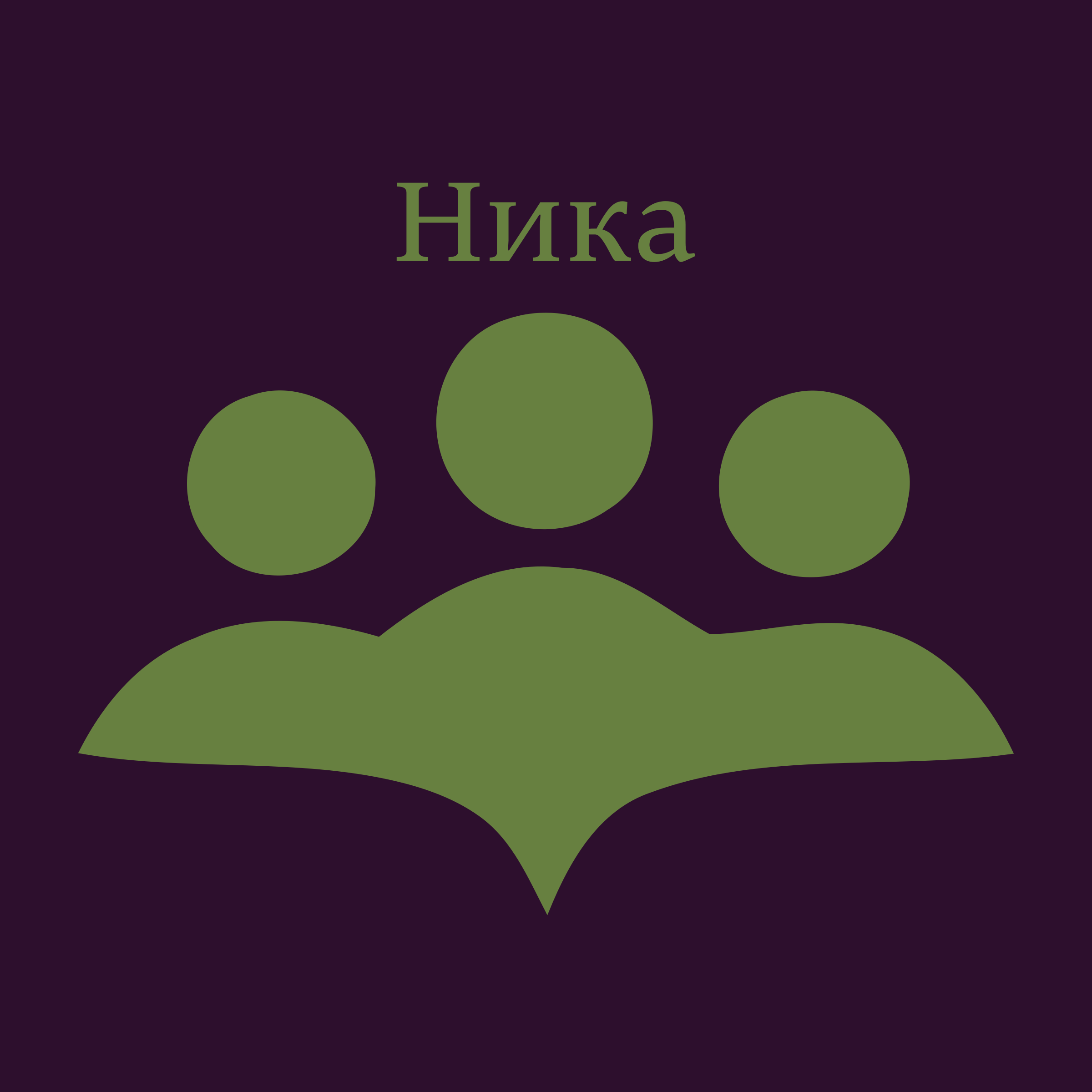 Company logo “Nika”