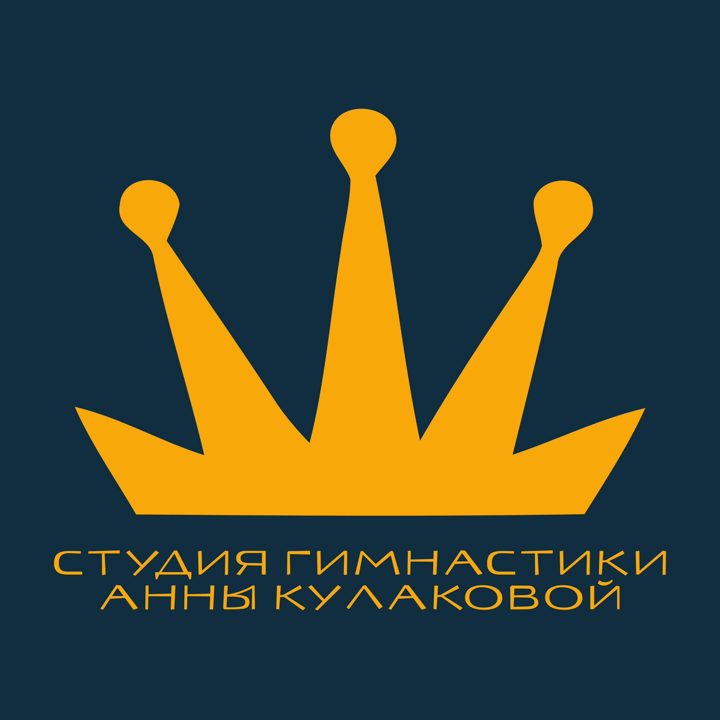 Company logo “Anna Kulakova Gymnastics Studio”