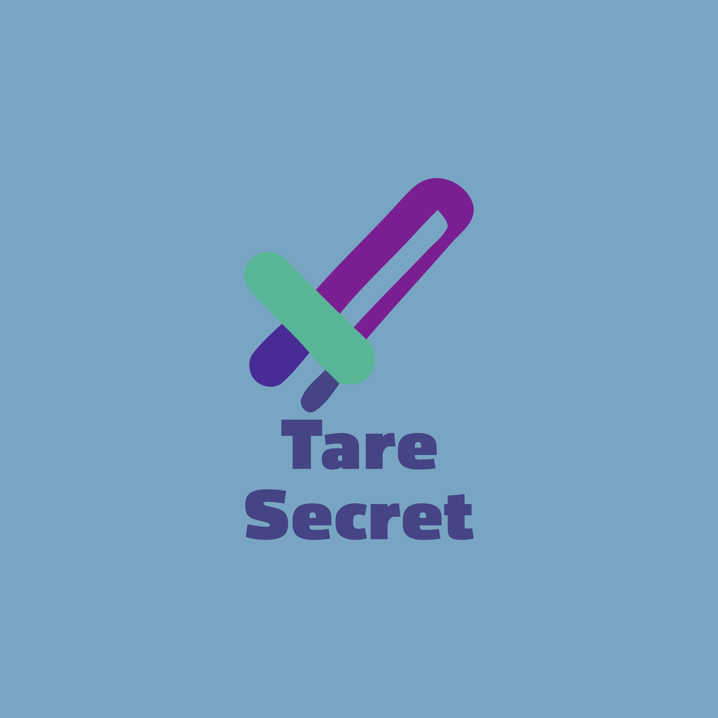 Логотип компании «Tare Secret»