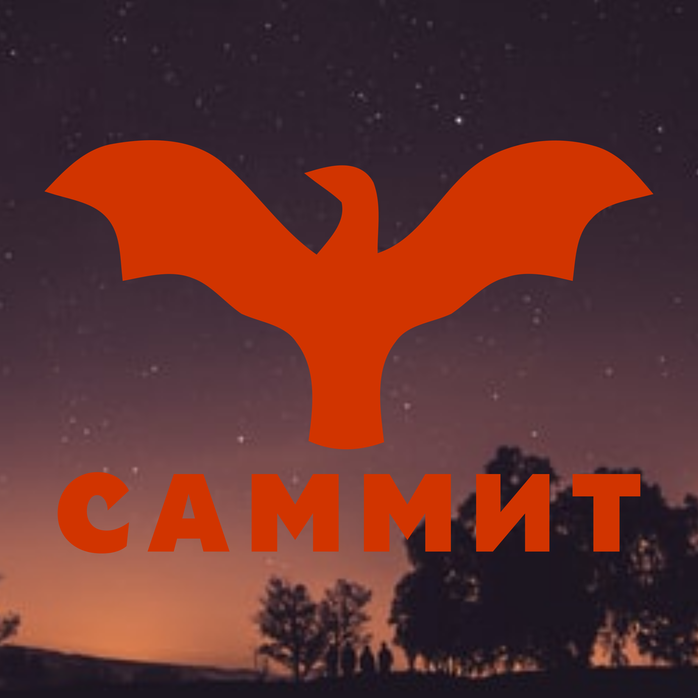 Company logo «Саммит»