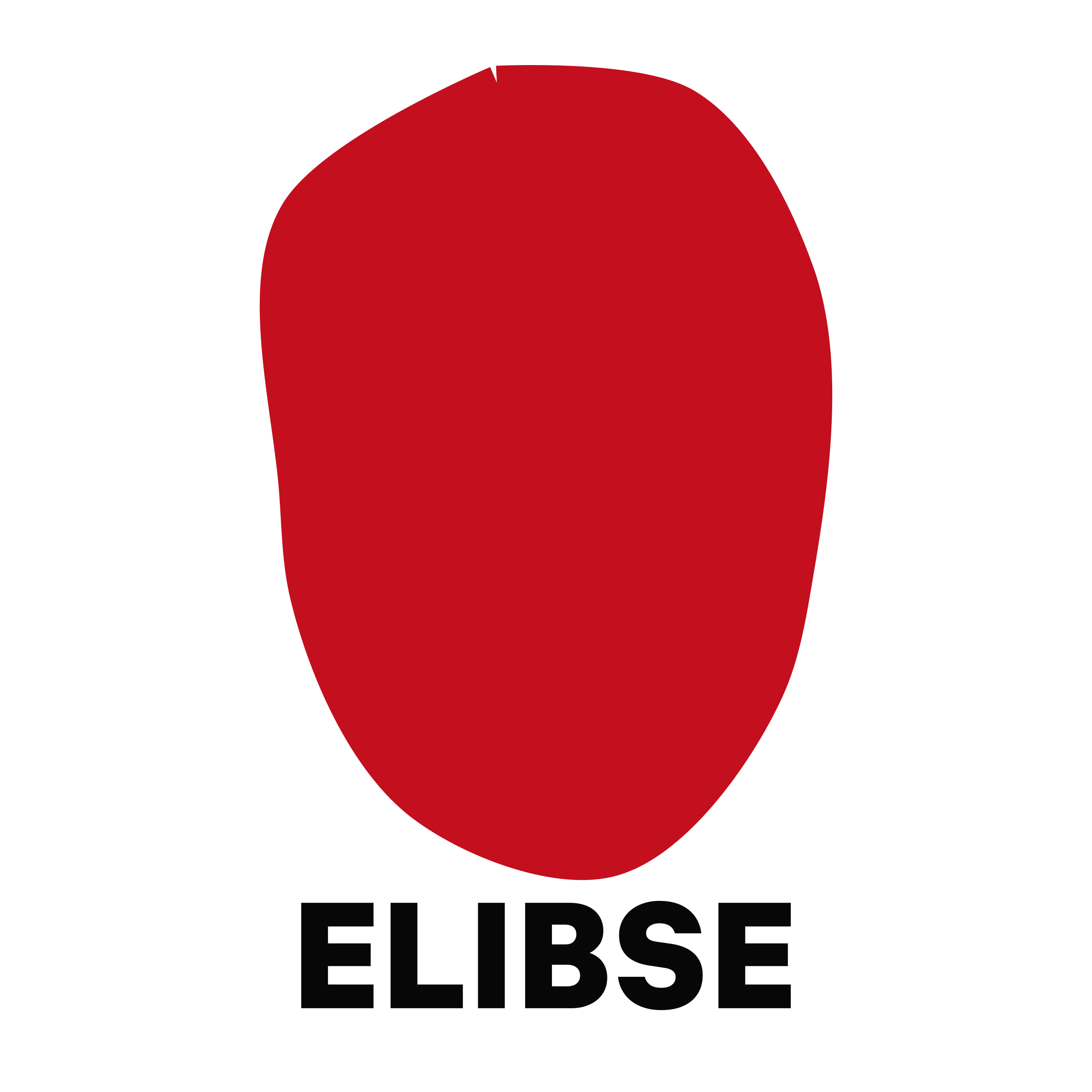 Company logo «ELIBSE»