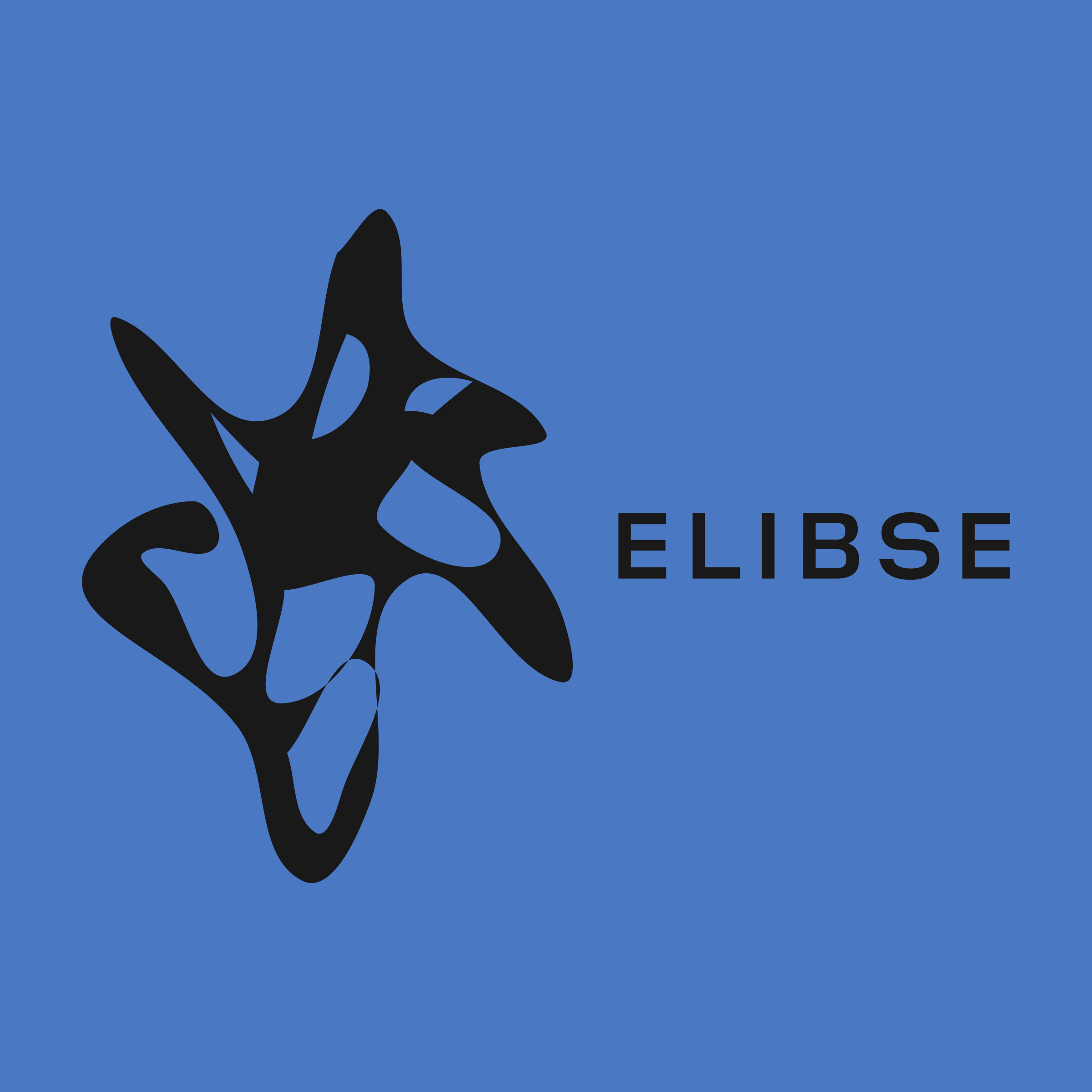 Логотип компании «ELIBSE»