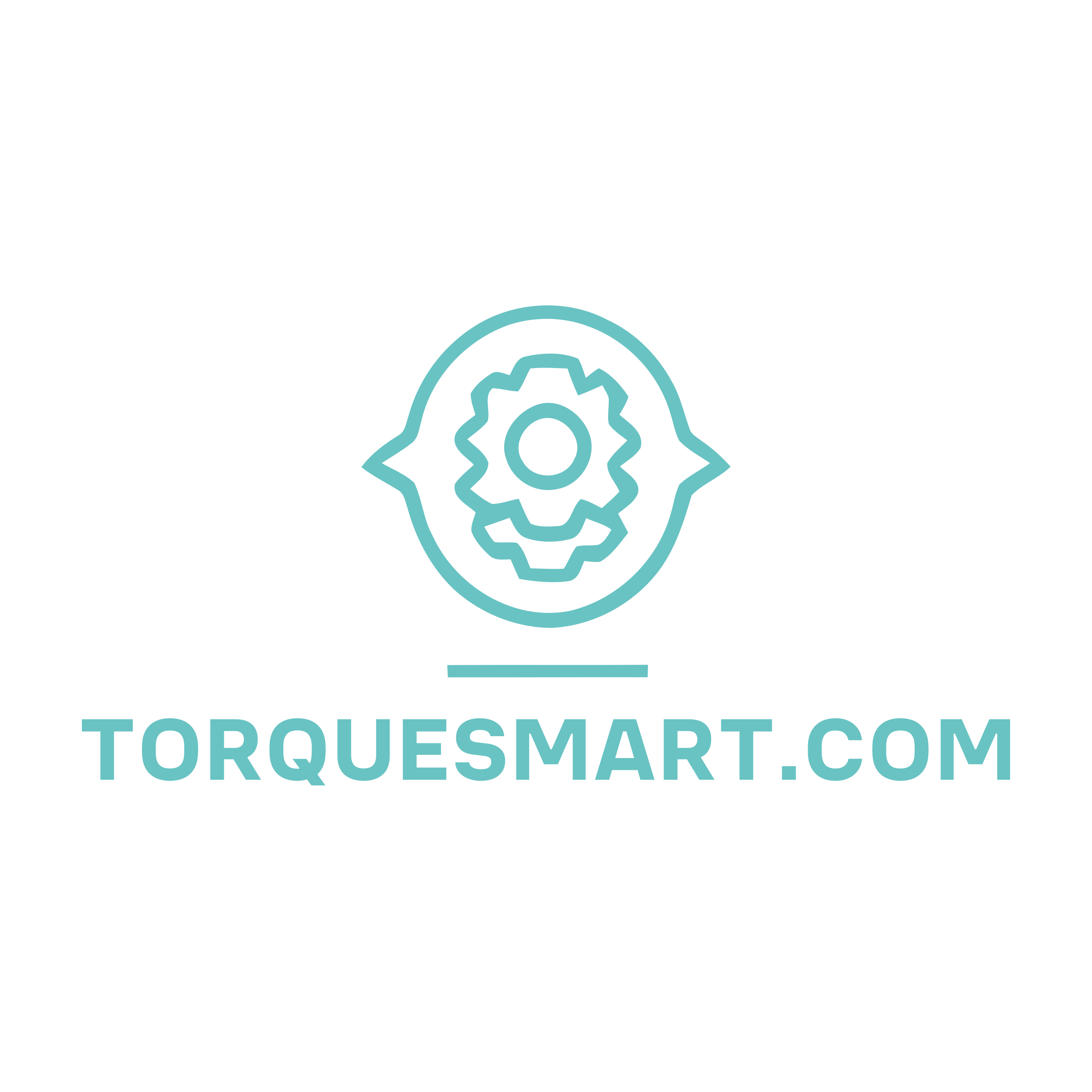 Логотип компании «TORQUESMART.COM»