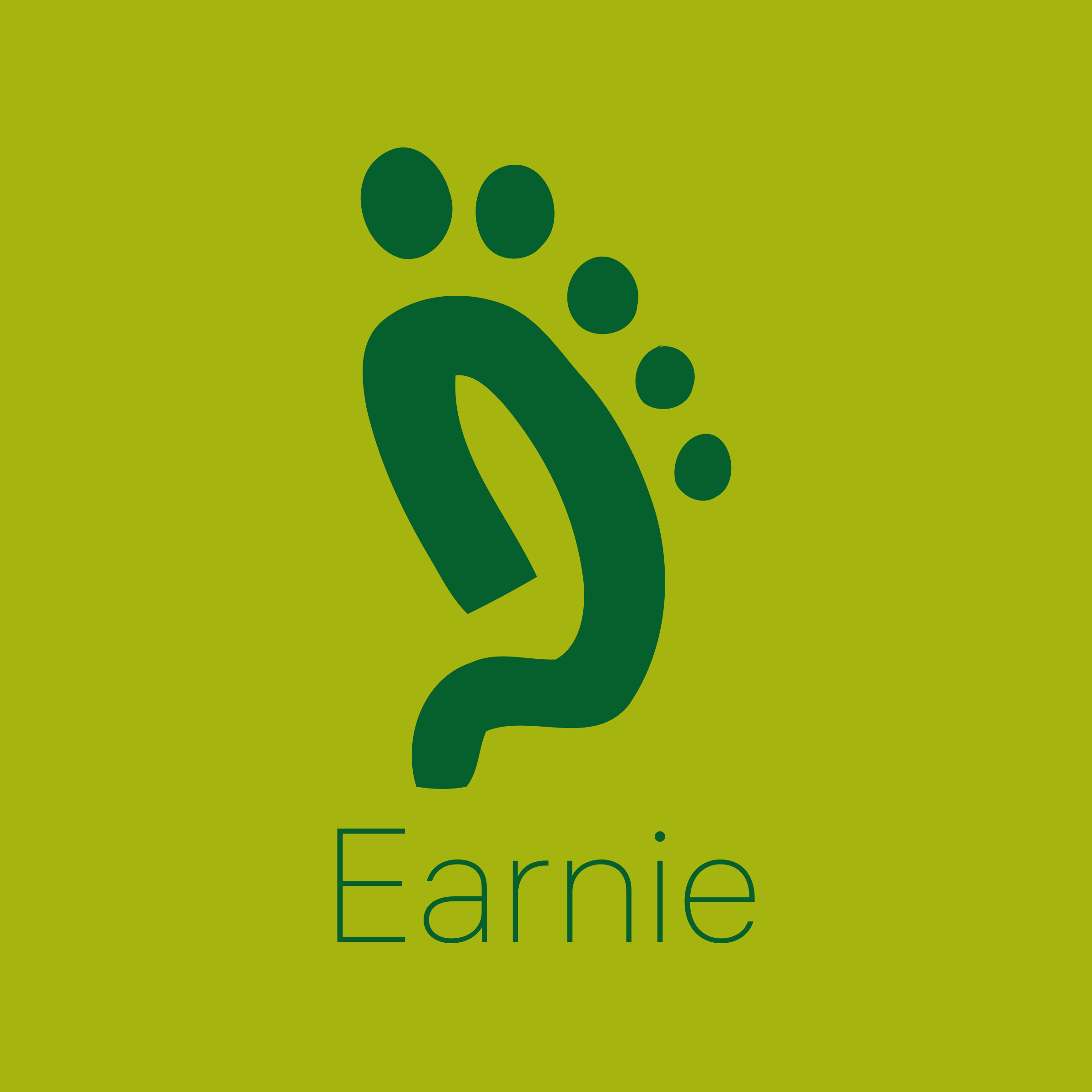 Company logo «Earnie»