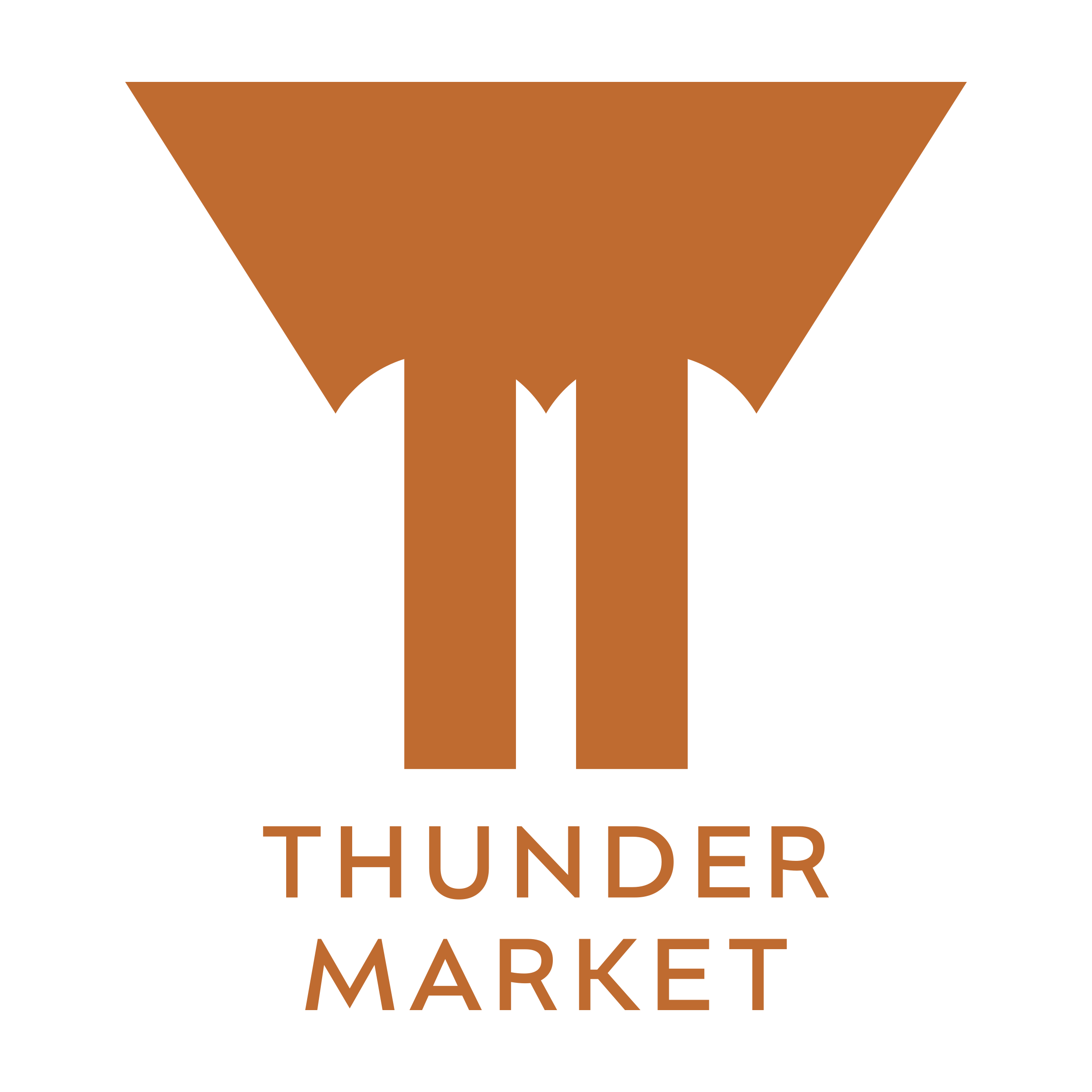 Company logo «Thunder Market»