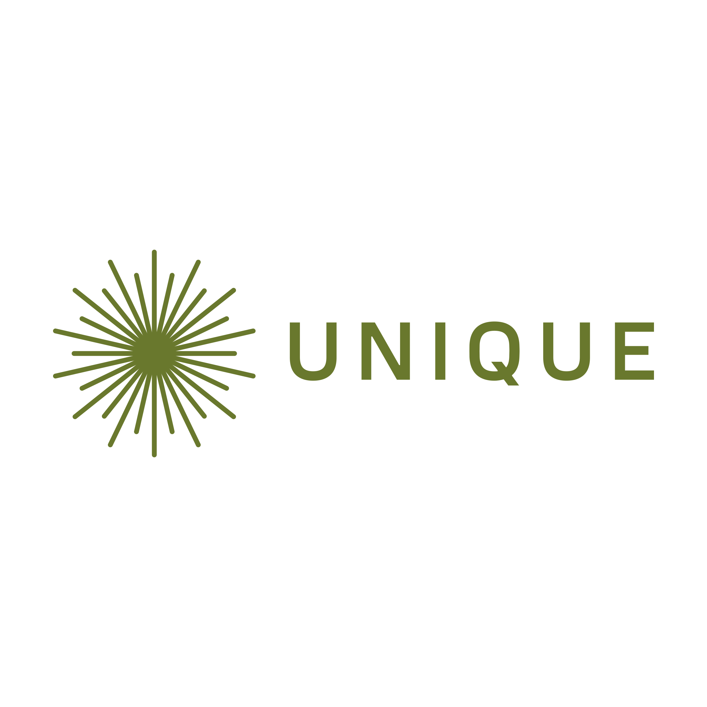 Company logo «Unique»