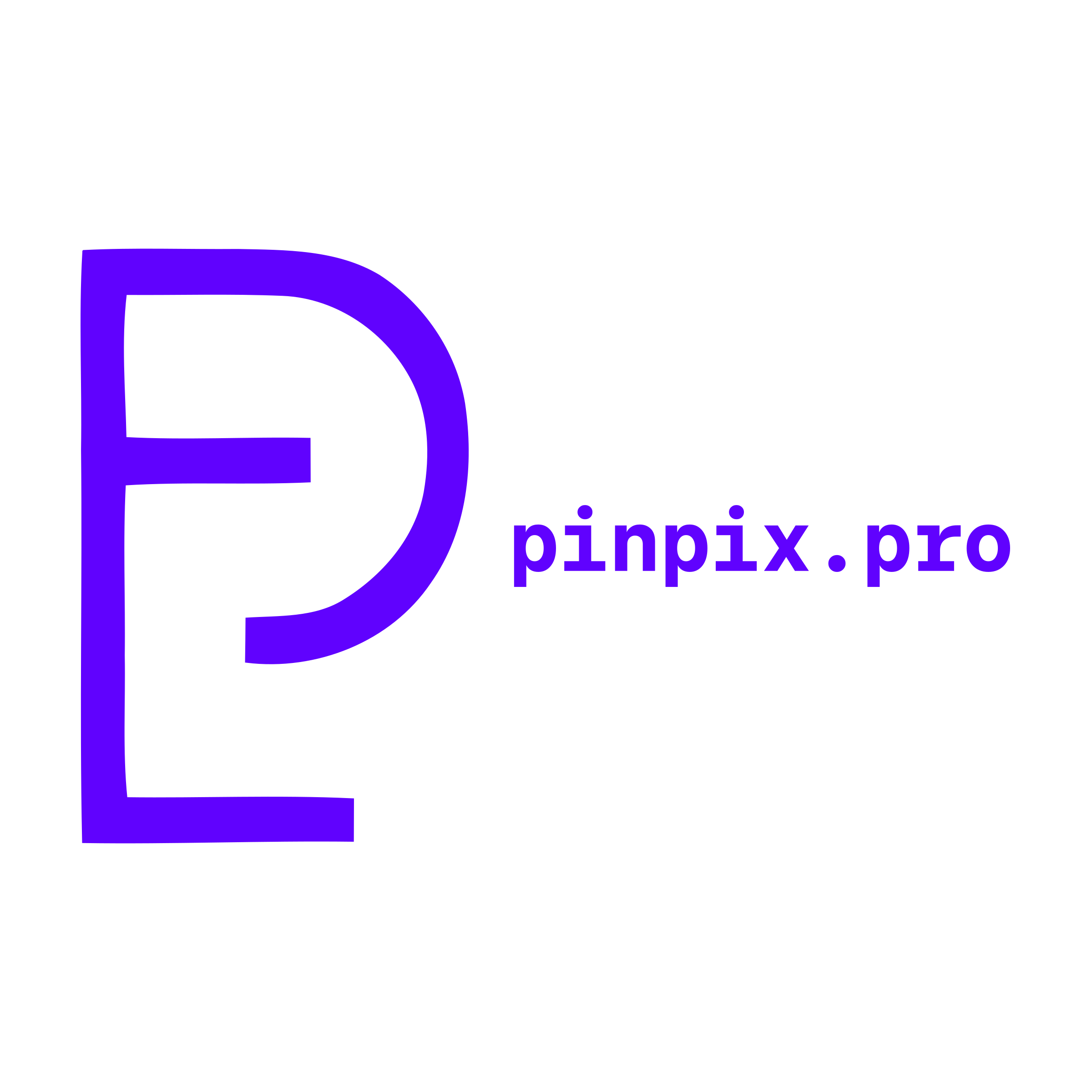 Логотип компании «pinpix.pro»