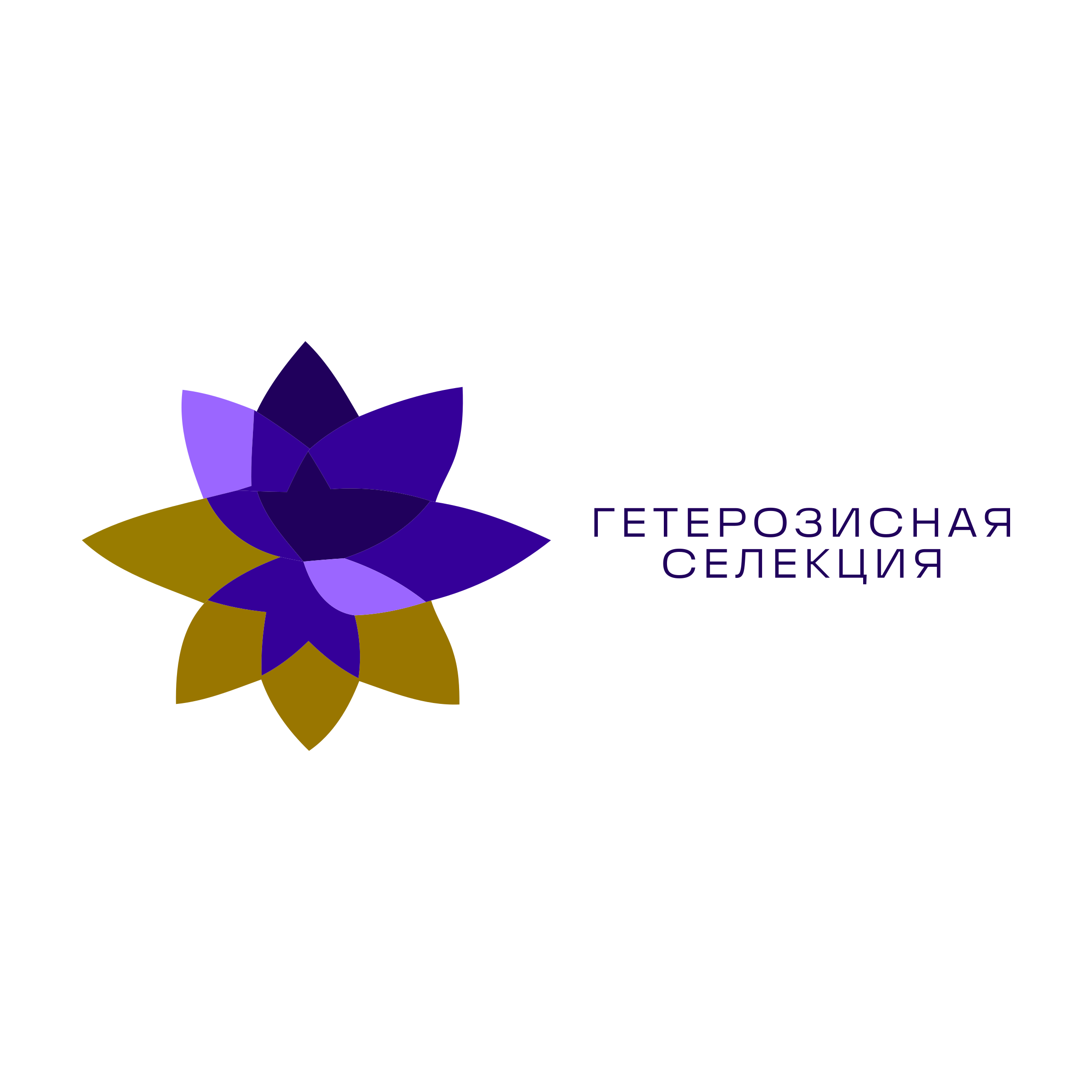 Company logo «Гетерозисная селекция»