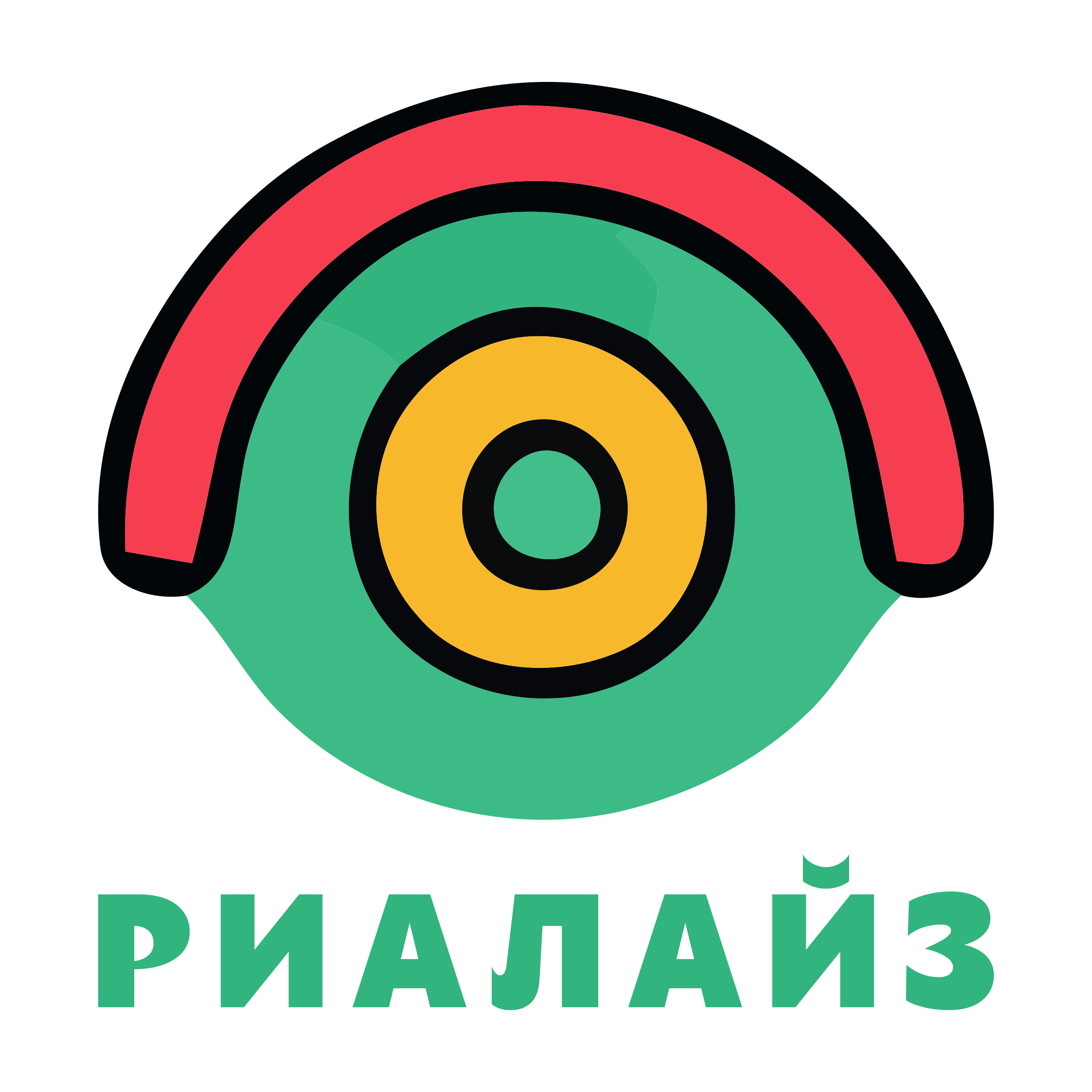 Company logo «Риалайз»