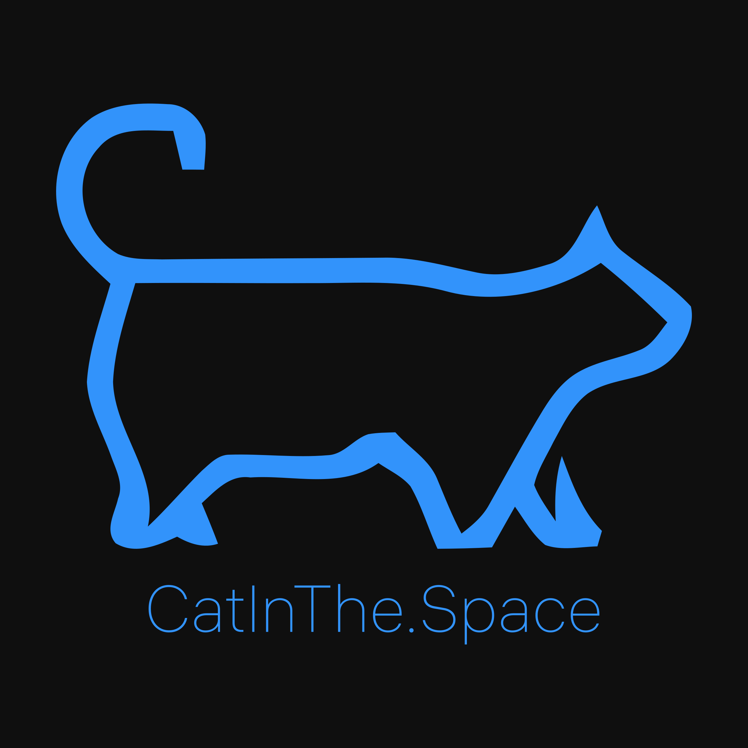 Company logo «CatInThe.Space»