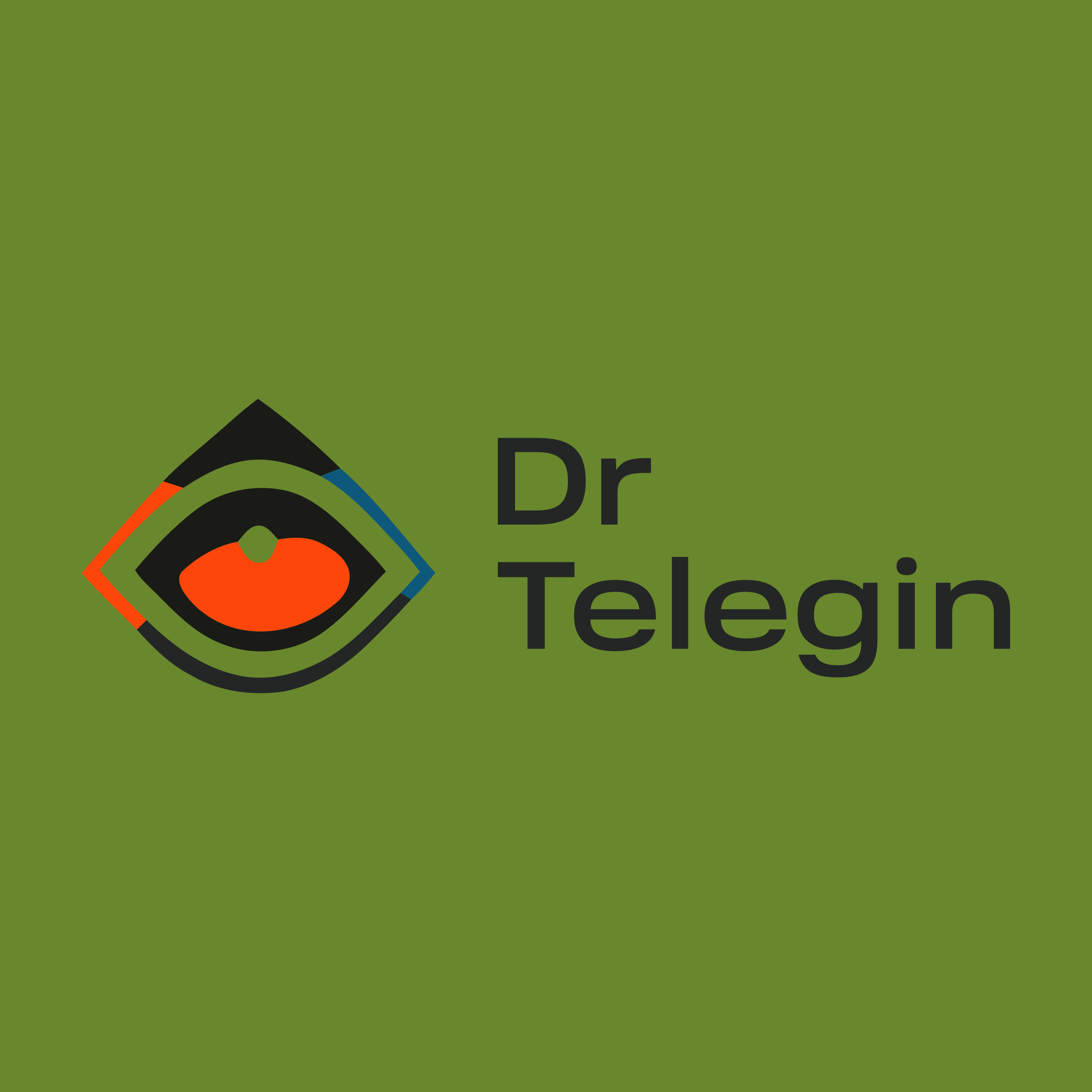 Логотип компании «Dr Telegin»