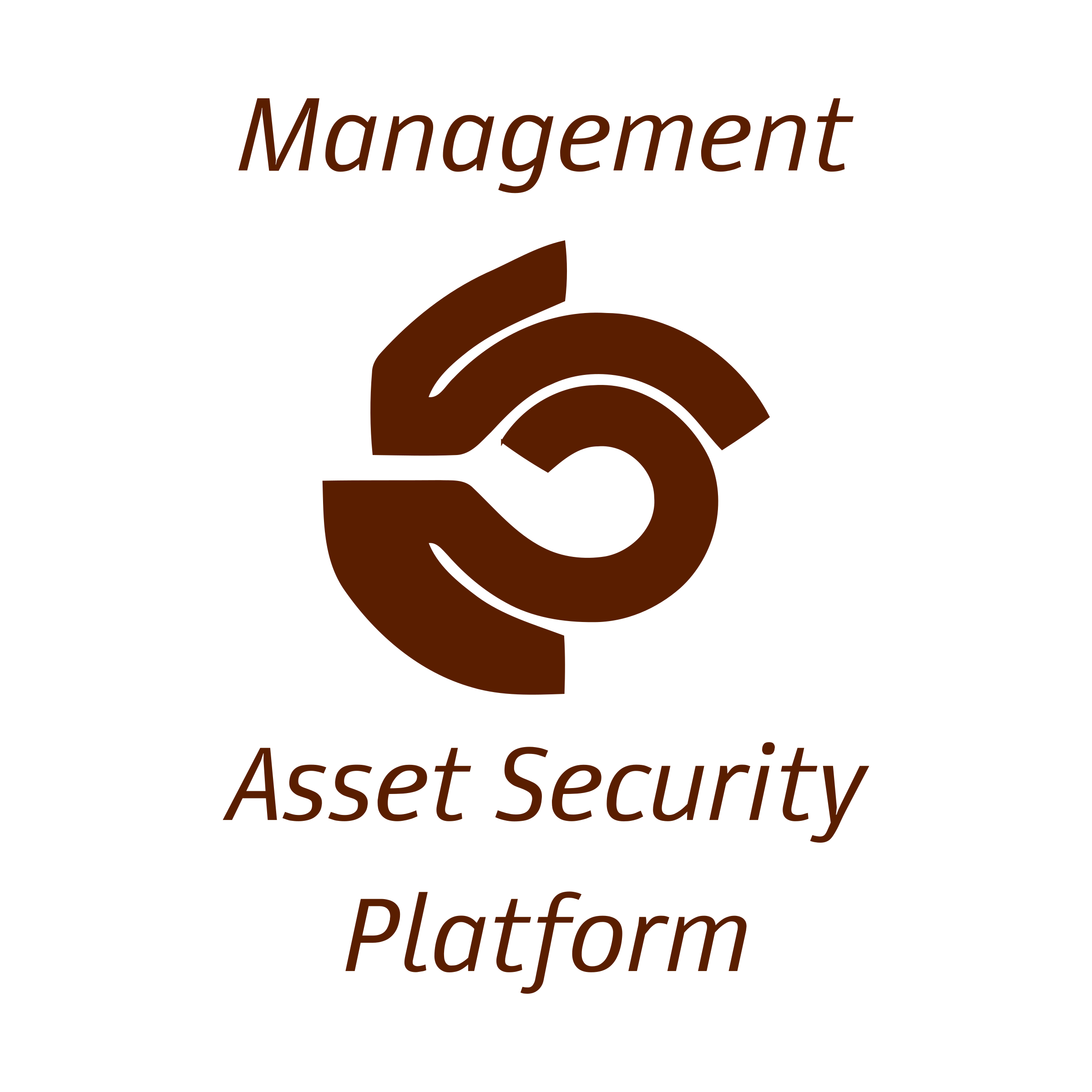 Company logo «Management Asset Security Platform»