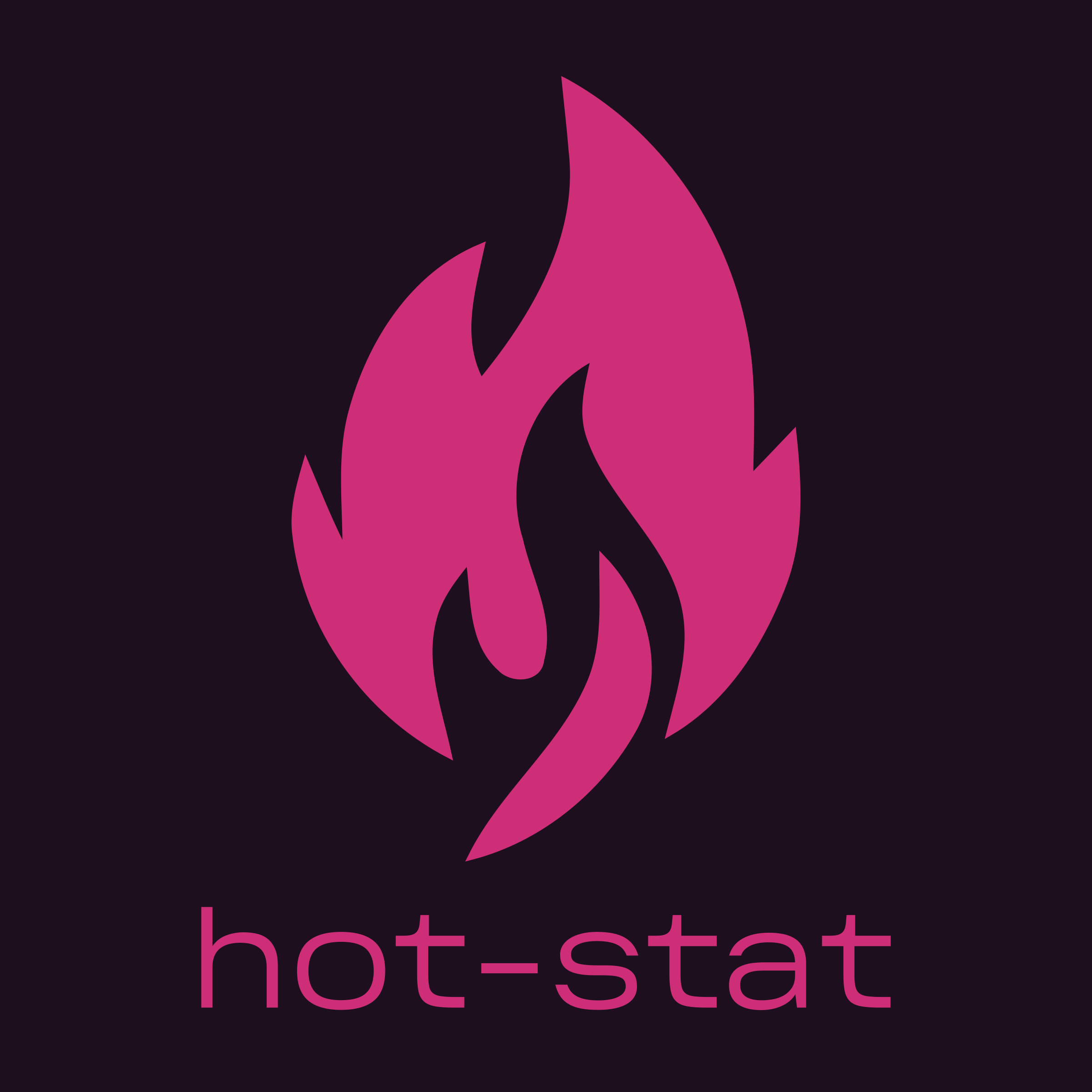 Company logo «hot-stat»