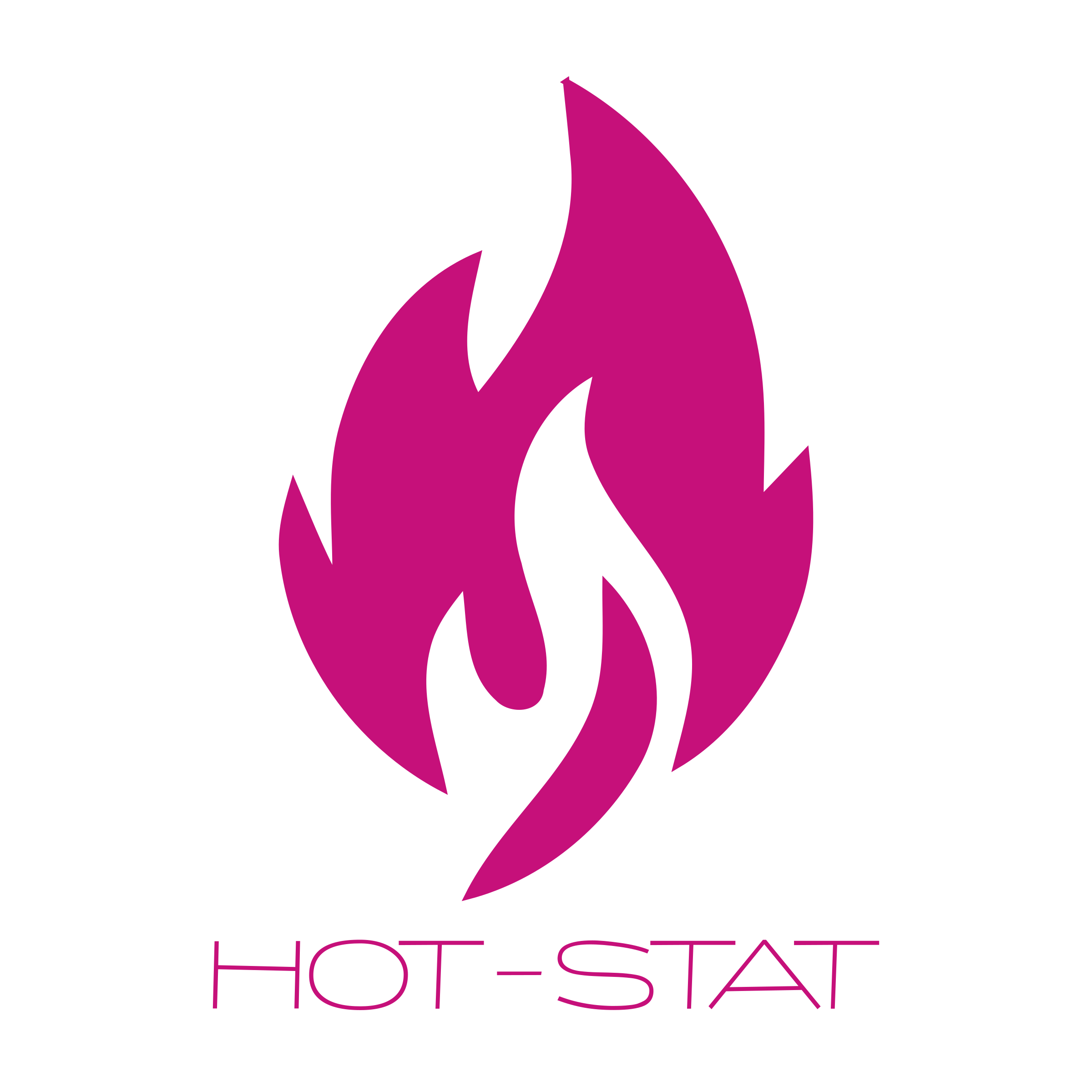 Company logo «hot-stat»