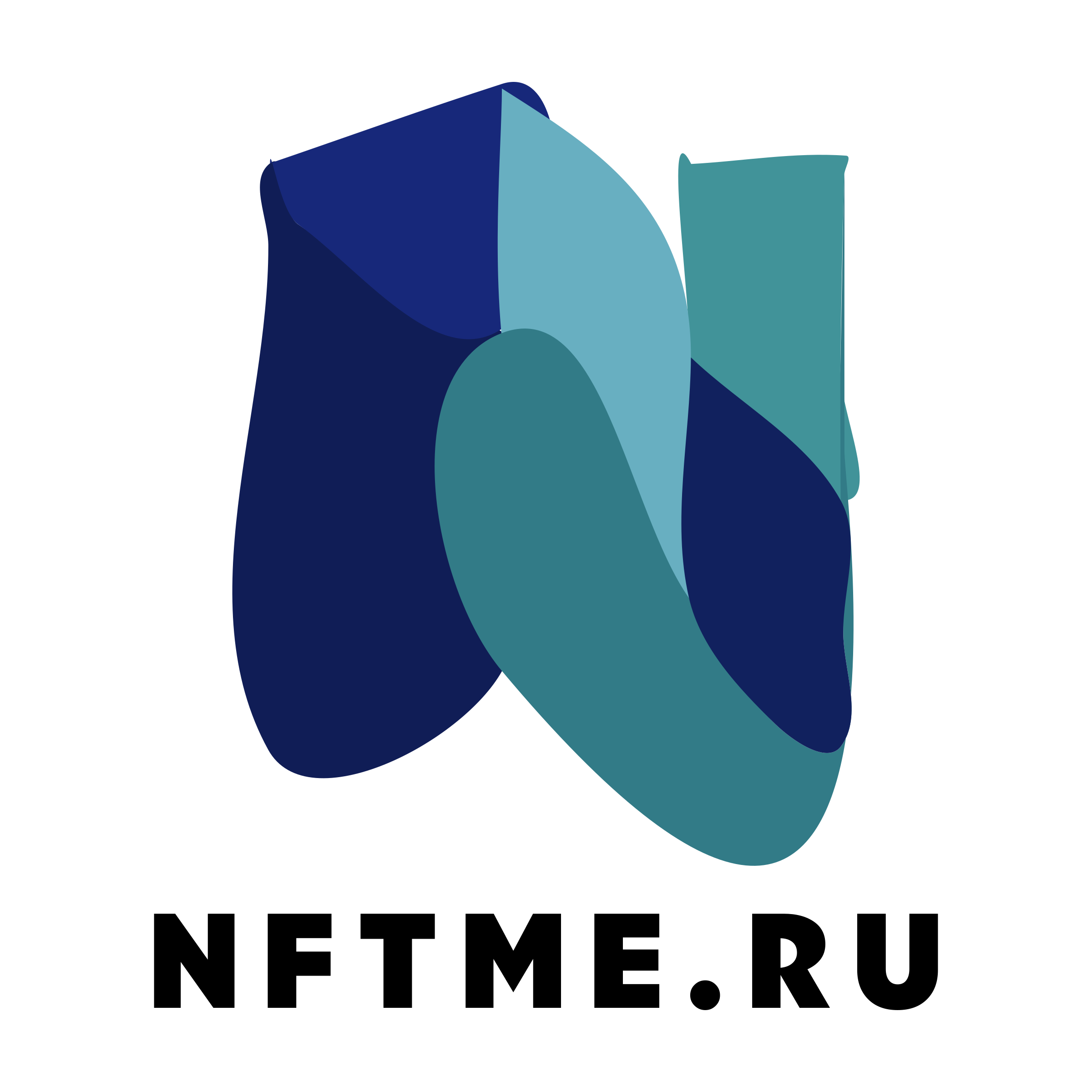 Company logo «nftme.ru»