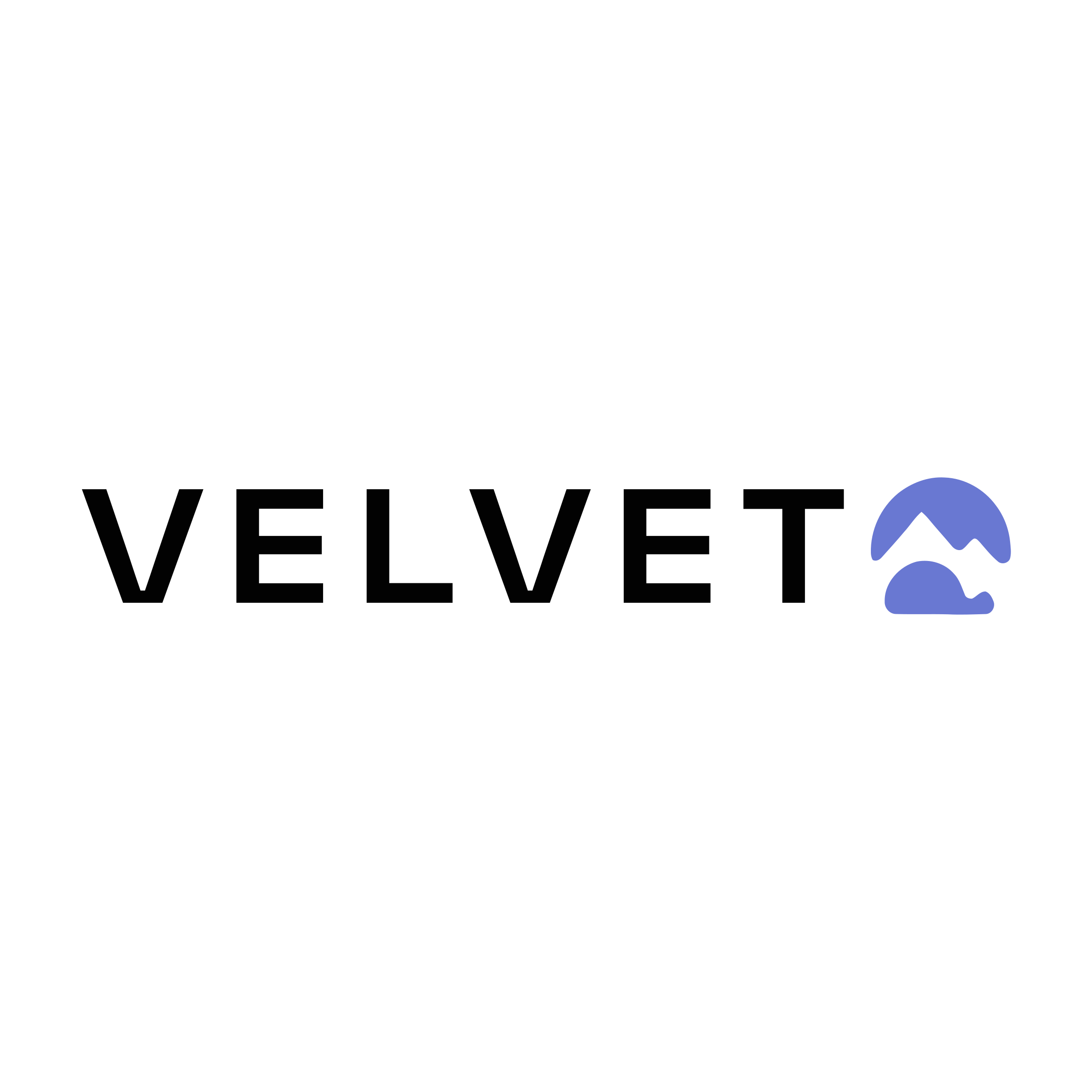 Логотип компании «Velvet»