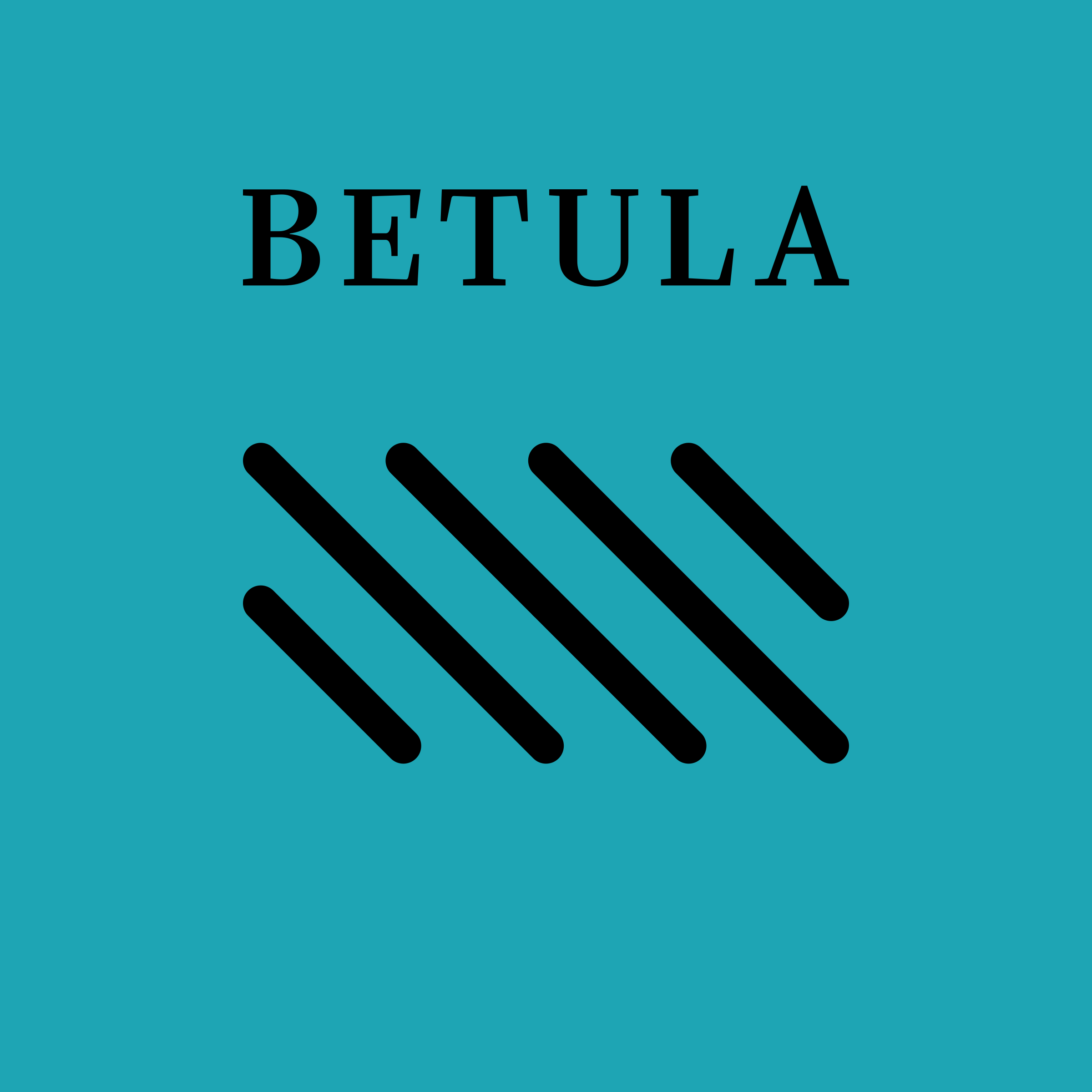 Логотип компании «BETULA»