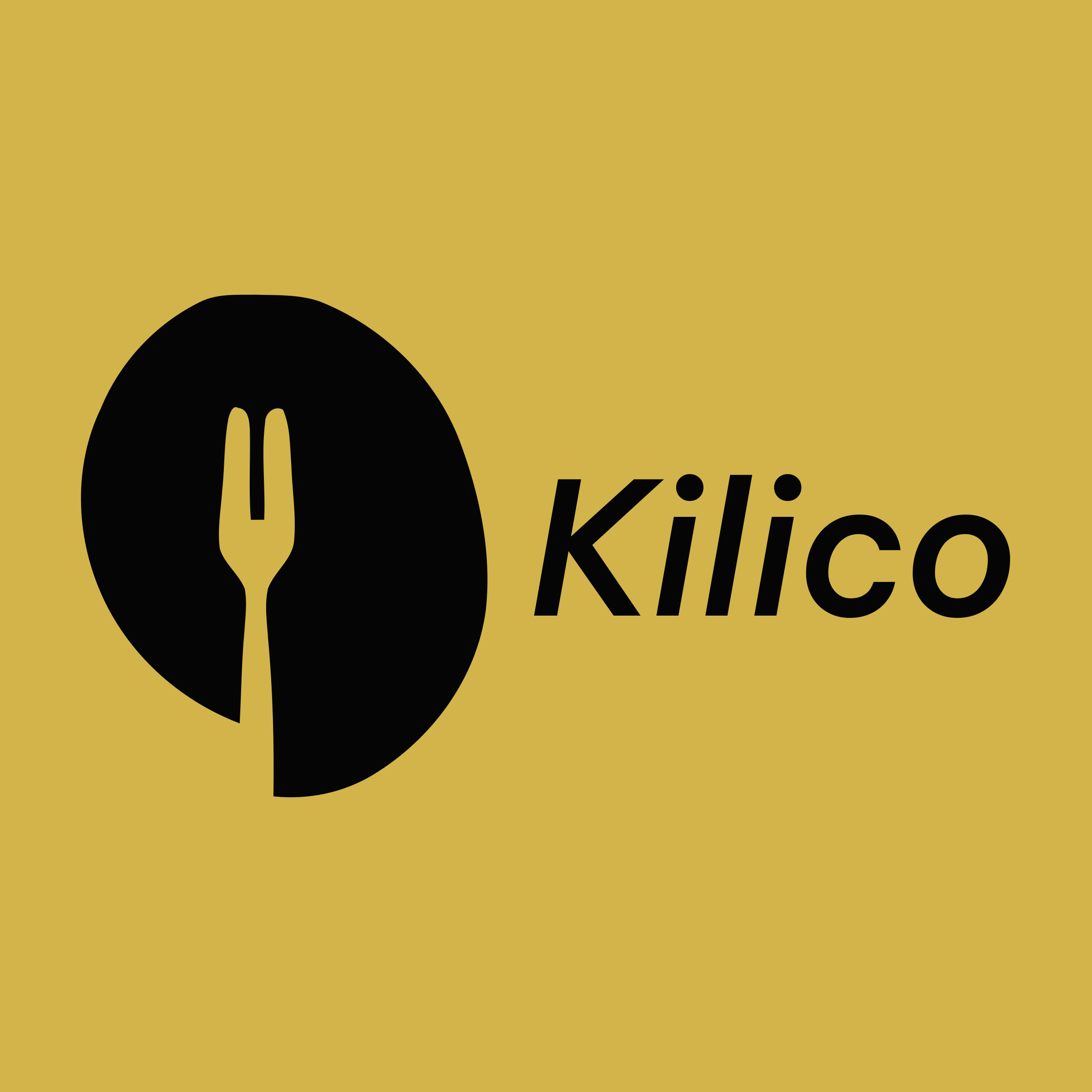 Company logo «Kilico»