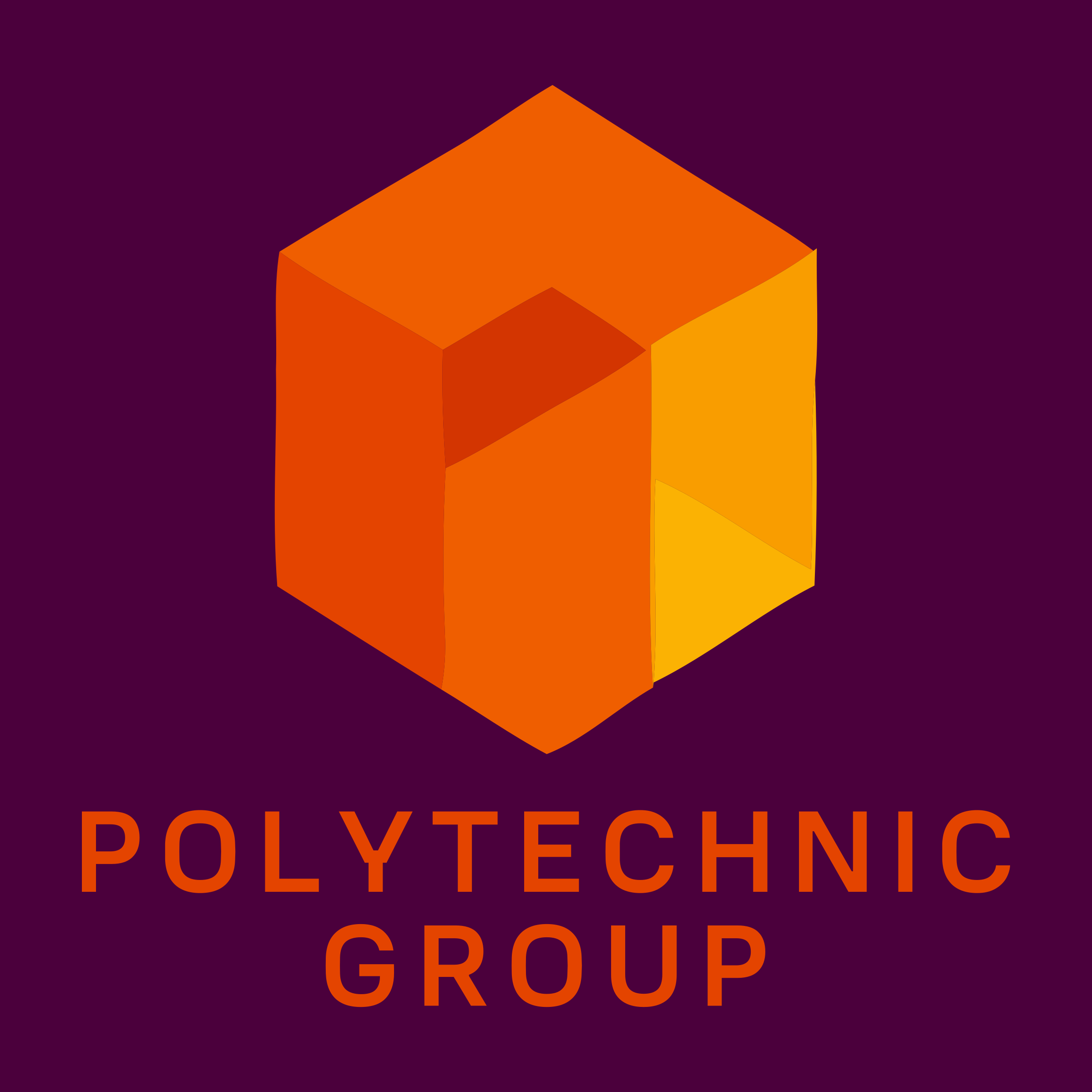 Логотип компании «POLYTECHNIC GROUP»