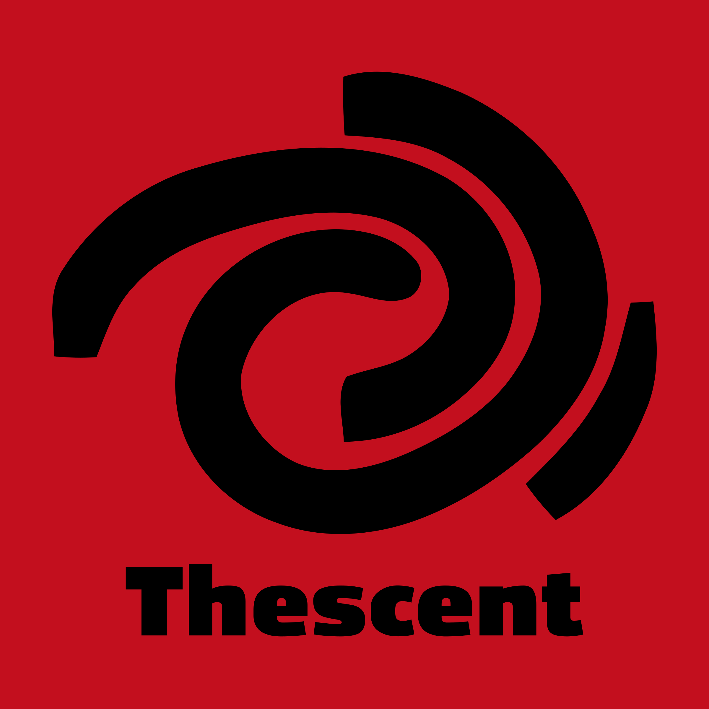 Company logo «Thescent»