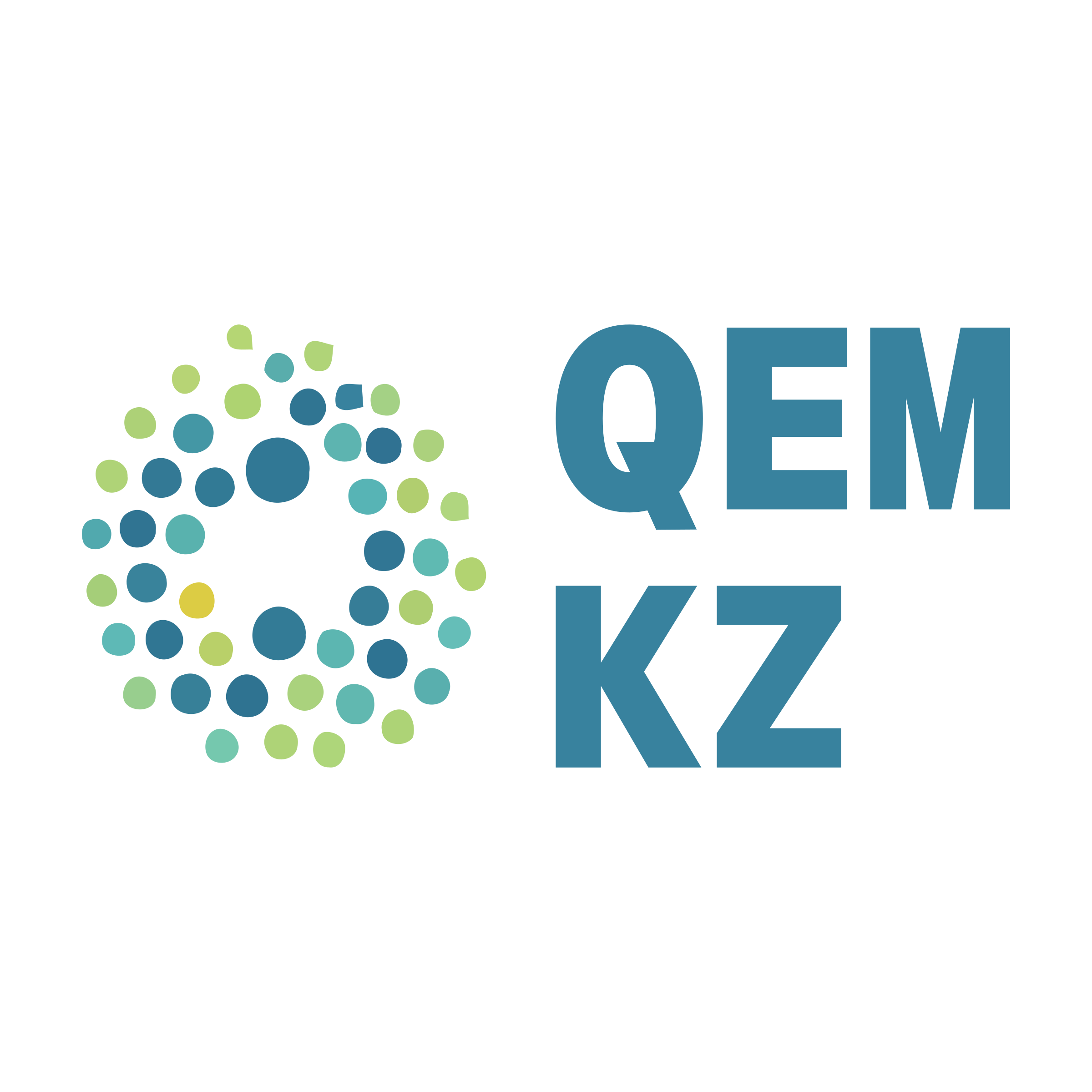 Company logo «QEM KZ»