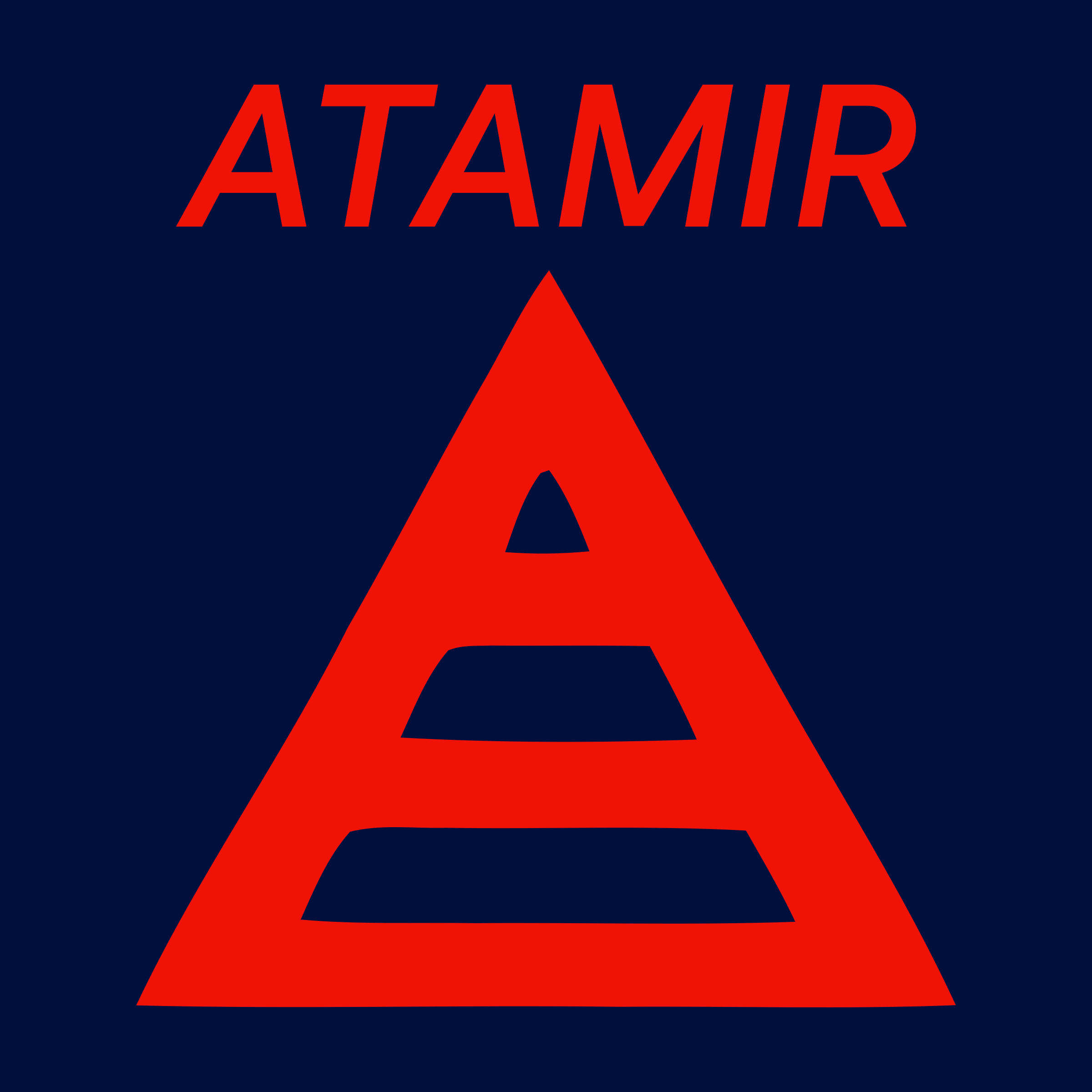 Company logo «ATAMIR»