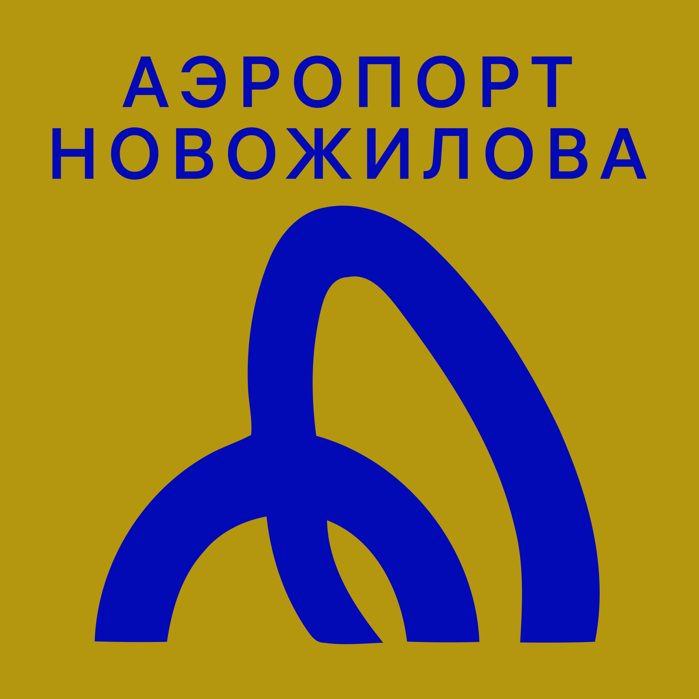 Company logo «Аэропорт Новожилова»