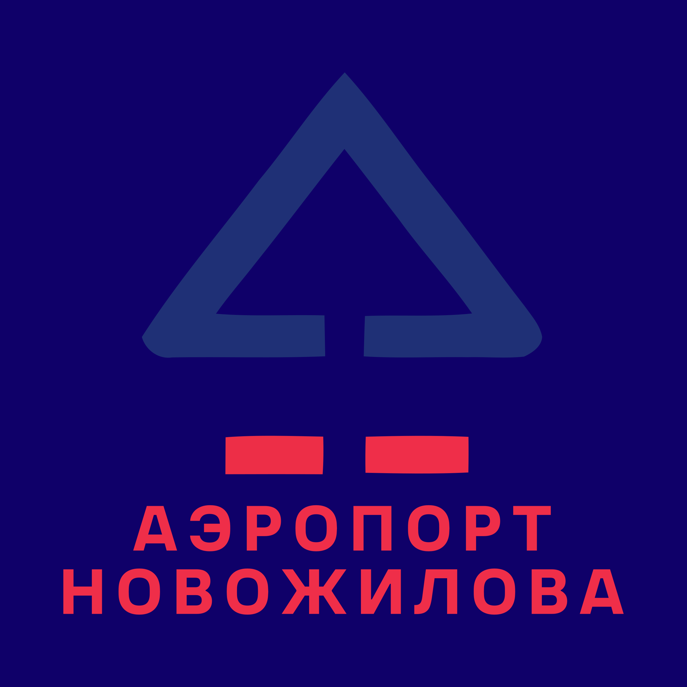 Company logo «Аэропорт Новожилова»