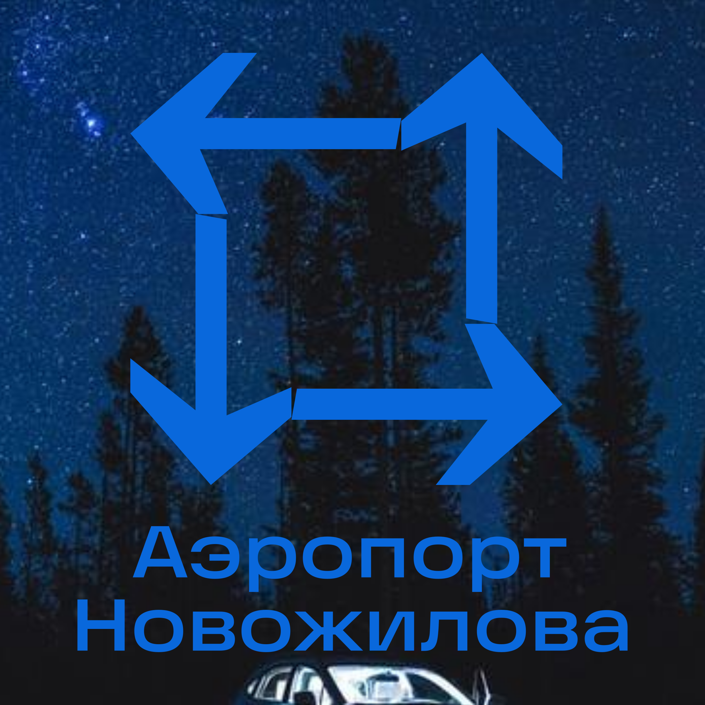 Company logo «Аэропорт Новожилова»