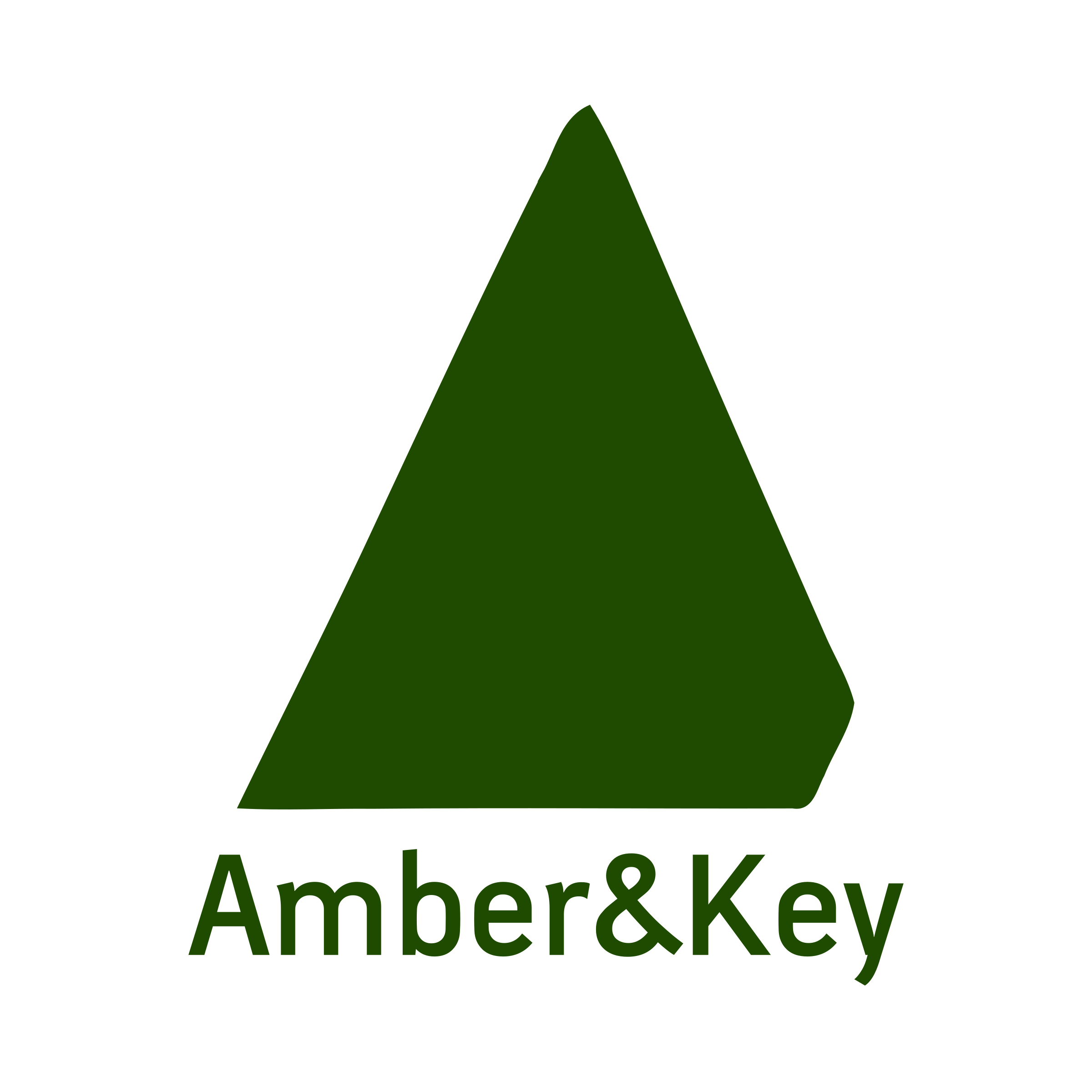 Company logo «Amber&Key»