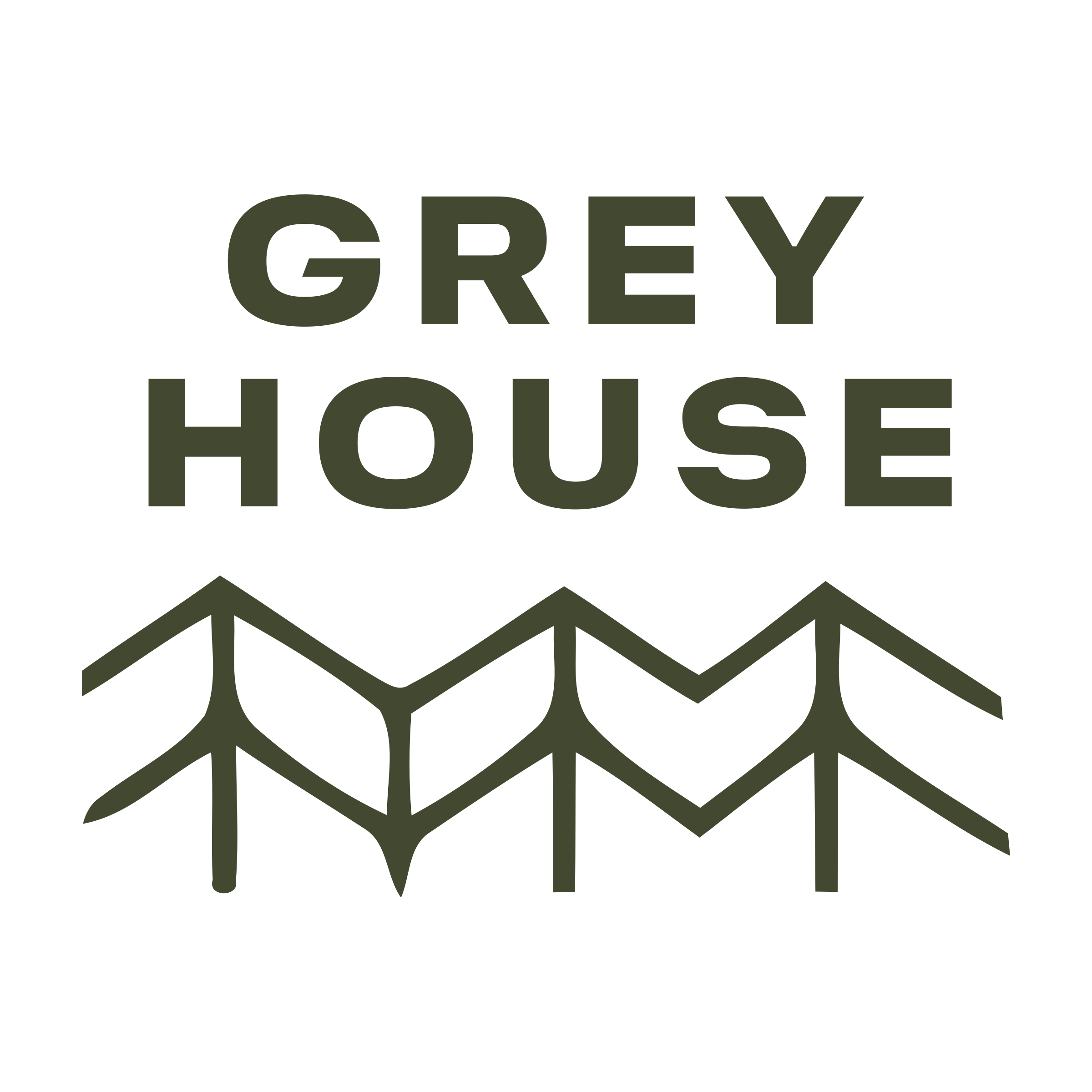 Company logo «Grey house»