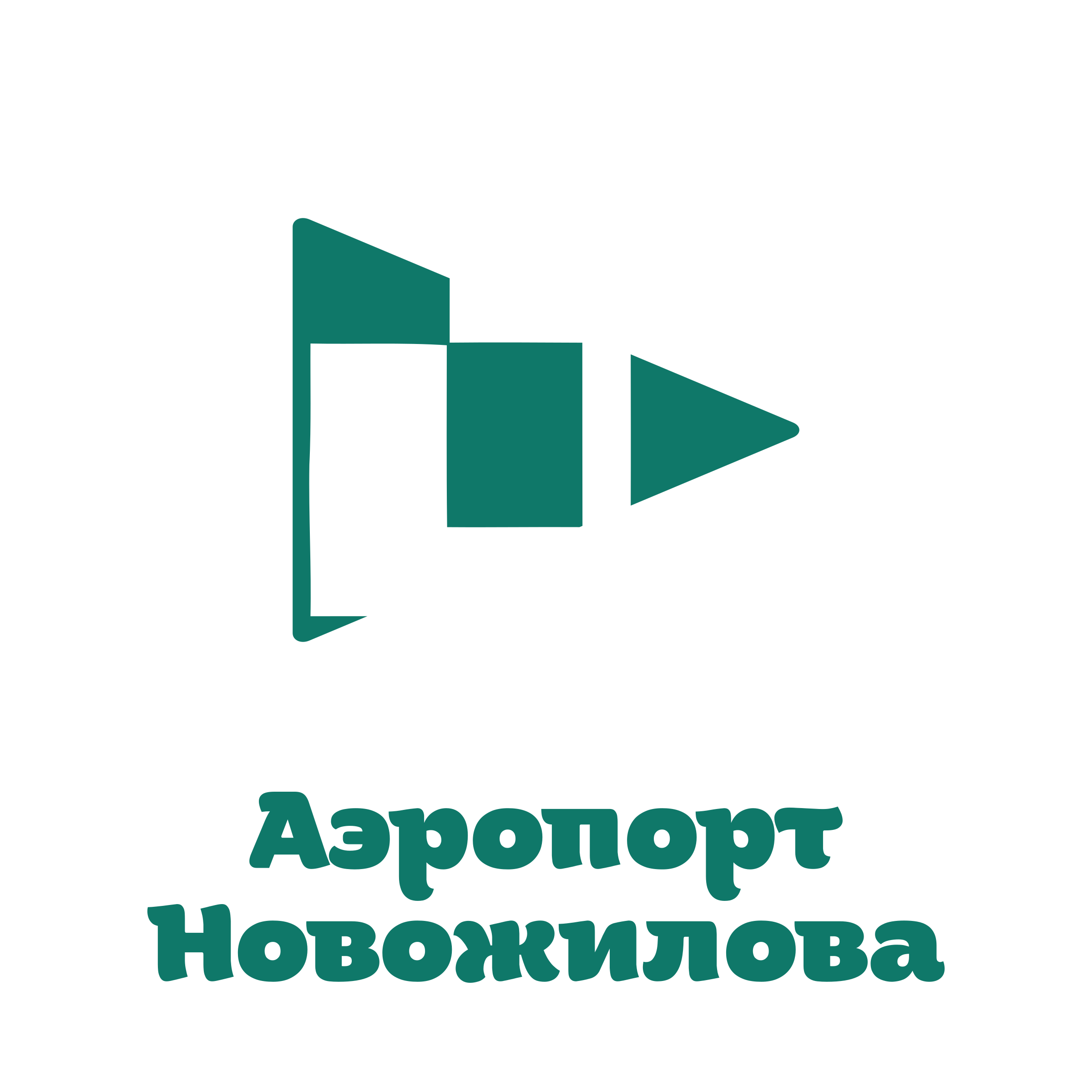 Company logo «Аэропорт Новожилова»