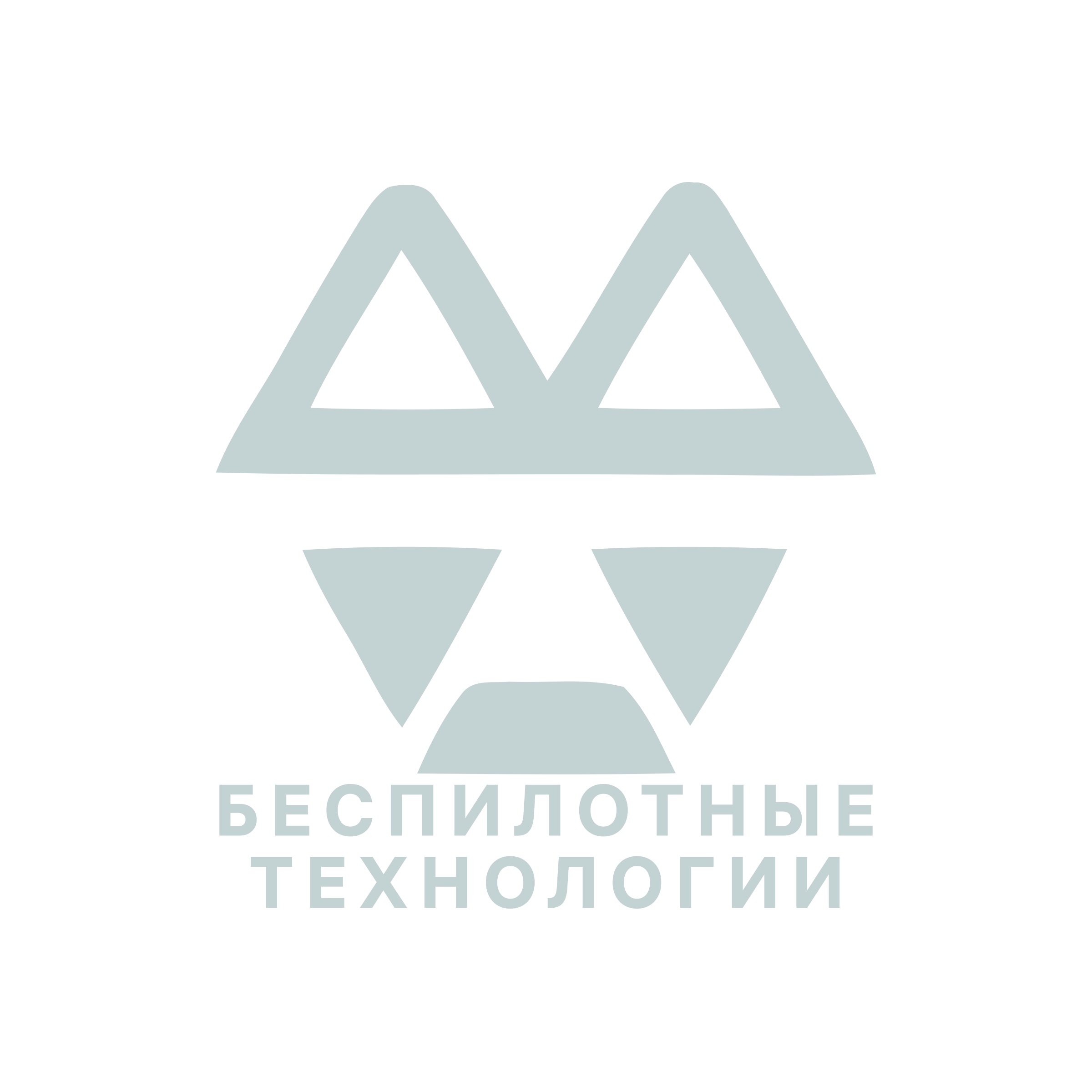 Company logo «Беспилотные технологии»